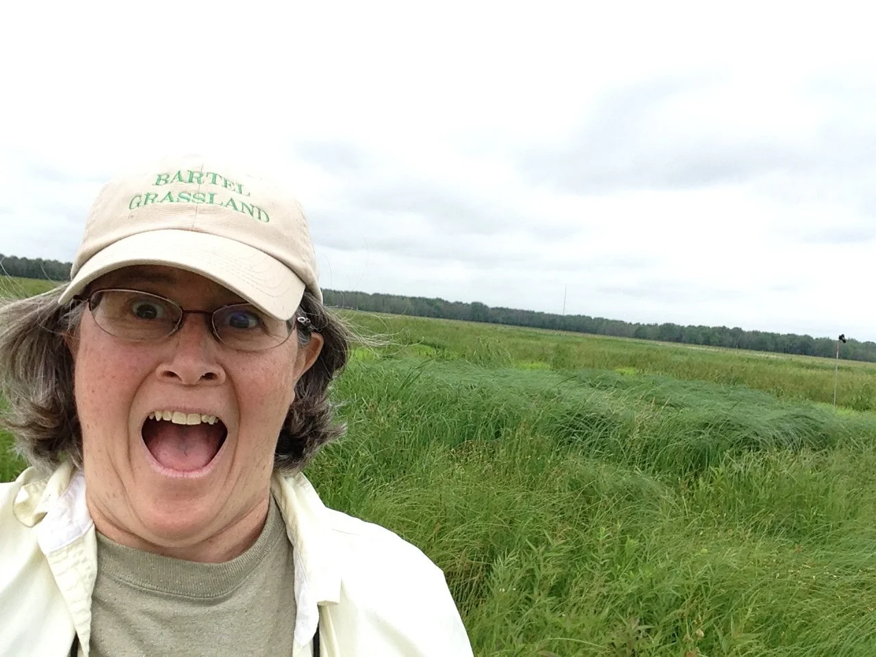 Festival Schedule - All — The Urban Birding Festival