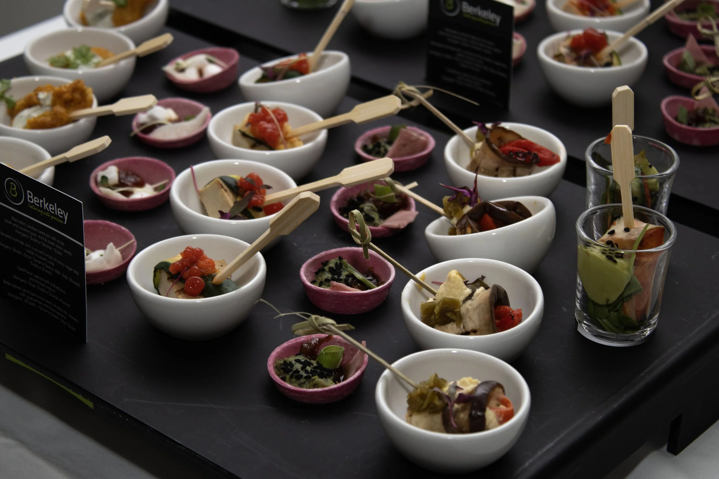 BOS - NGG Delegation 