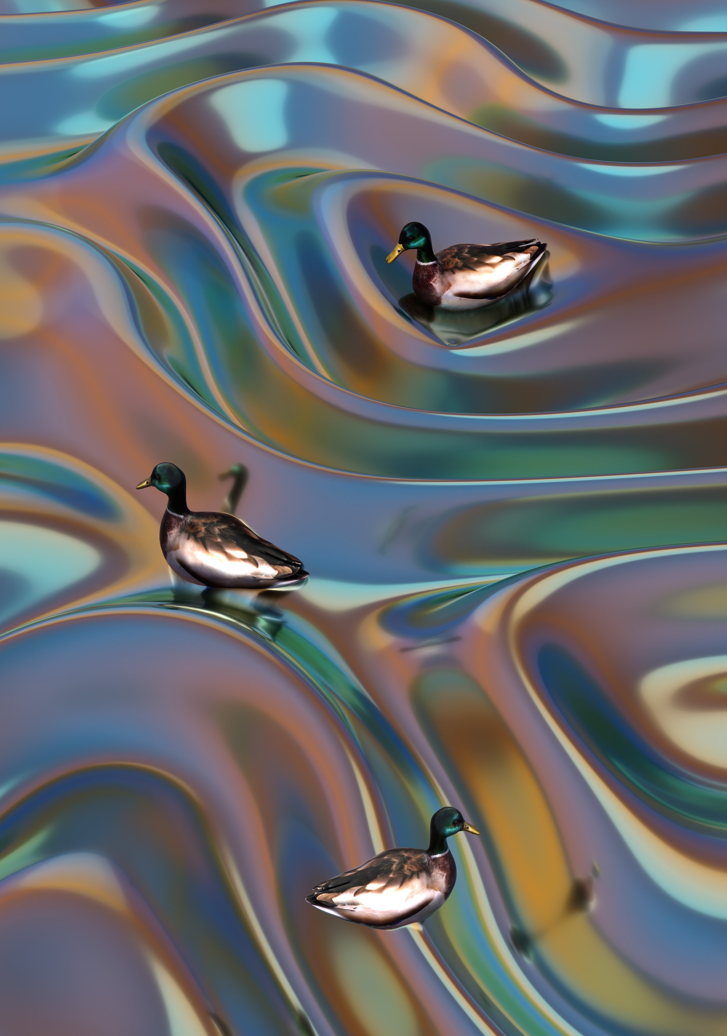 Ducks_Asma Hamdi.jpg