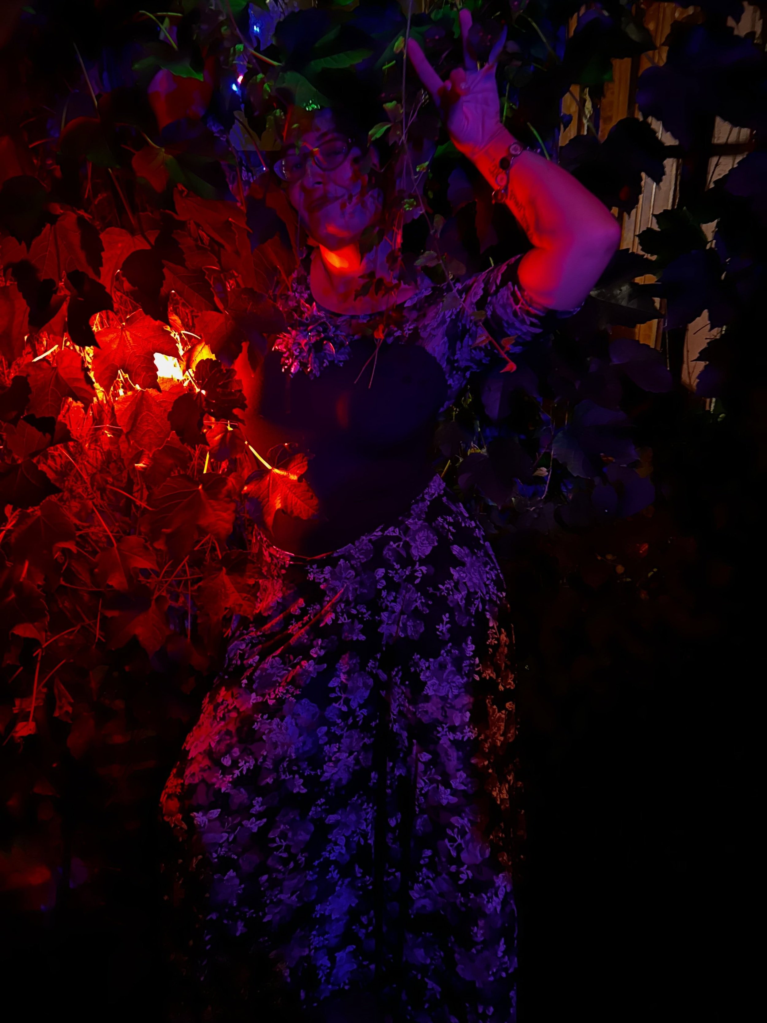Sometimes you just gotta recede into a backlit wall of vines. 

Photo by @supportyourlocalvibedealer