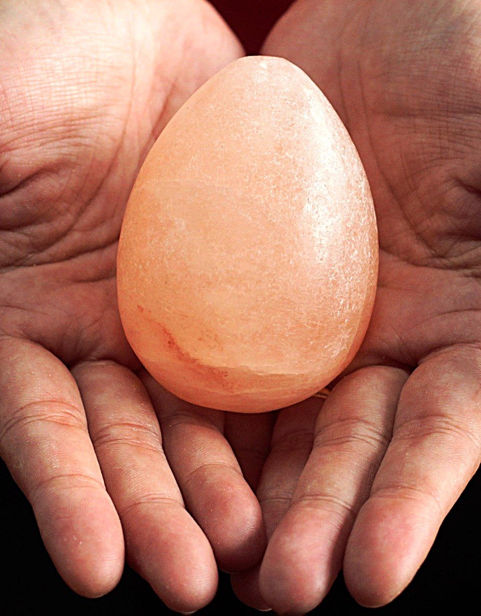 himalayan egg.jpeg