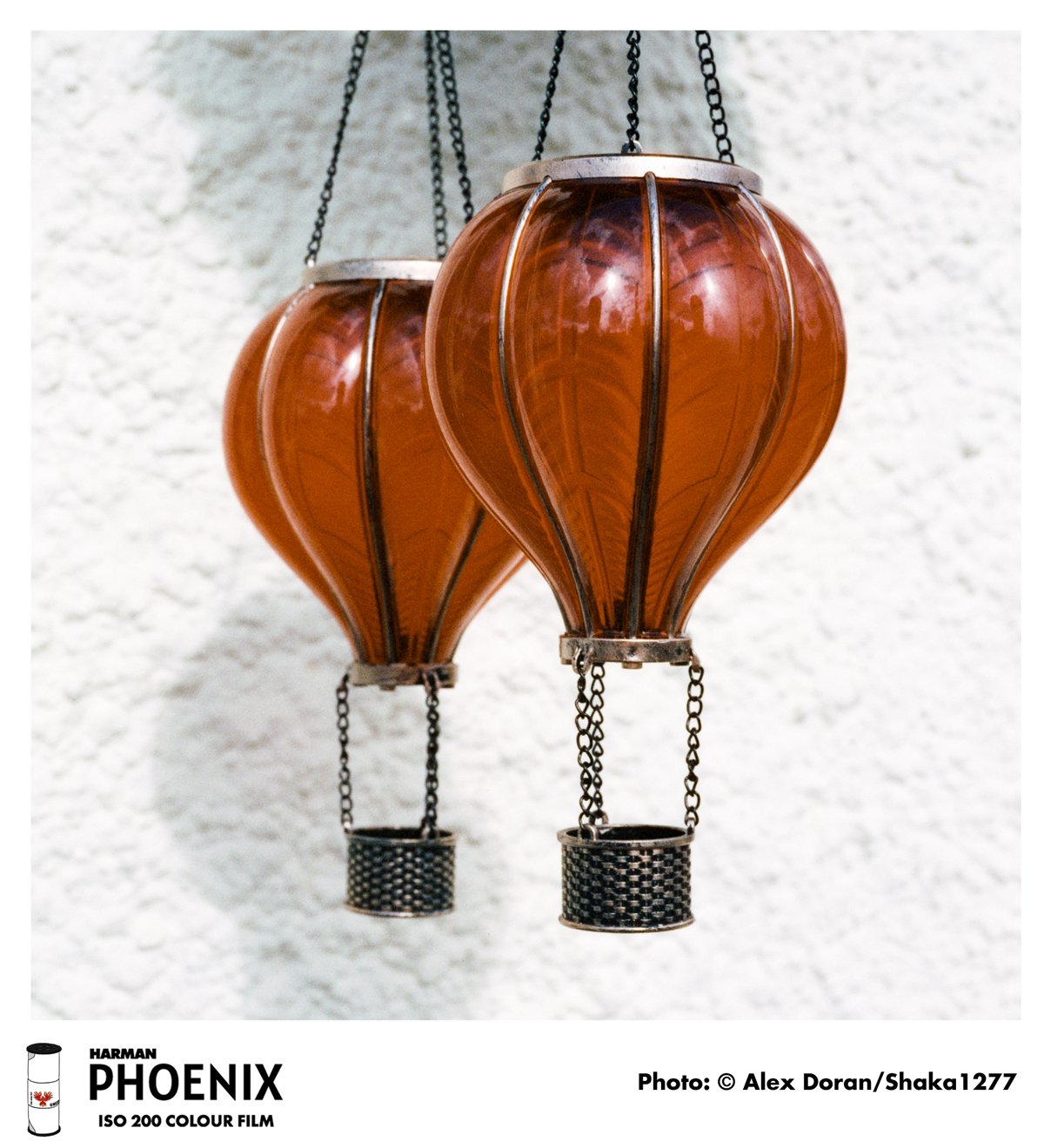 Alex-Doran---Bulbs..jpg