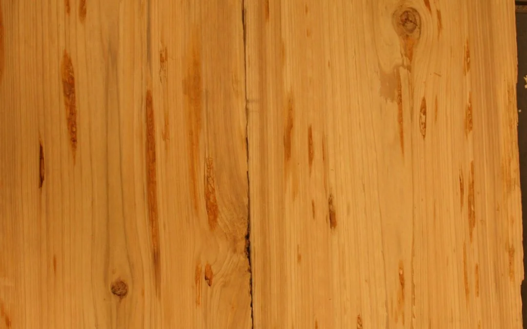 Cypress-1-Pecky-1080x675.jpg