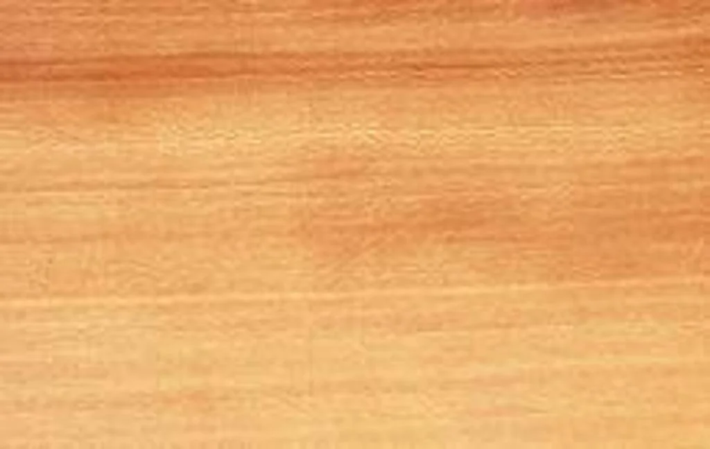 1-SycamoreWoodGrain_AHEC.jpg