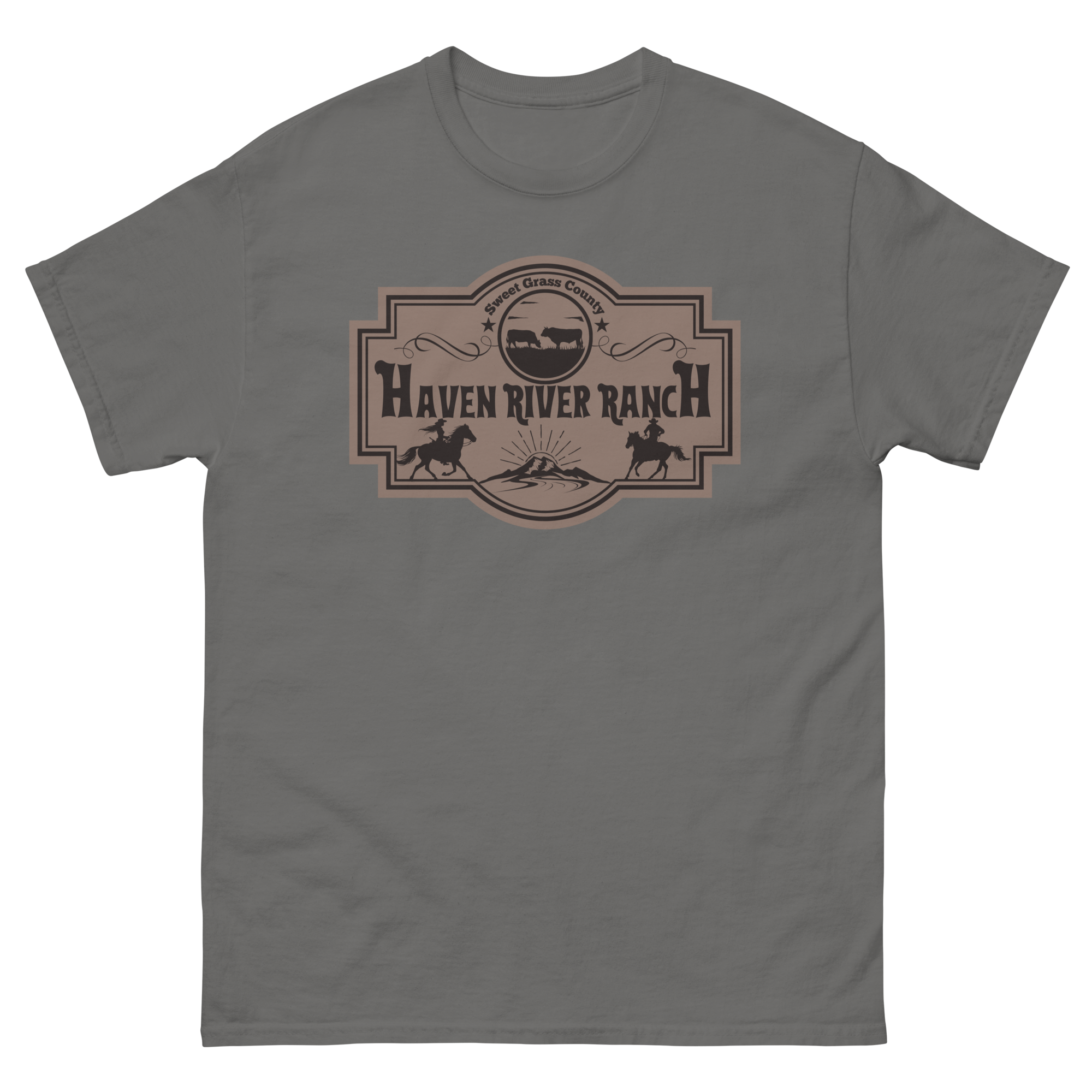 unisex-classic-tee-charcoal-front-670a7911b3fee.png