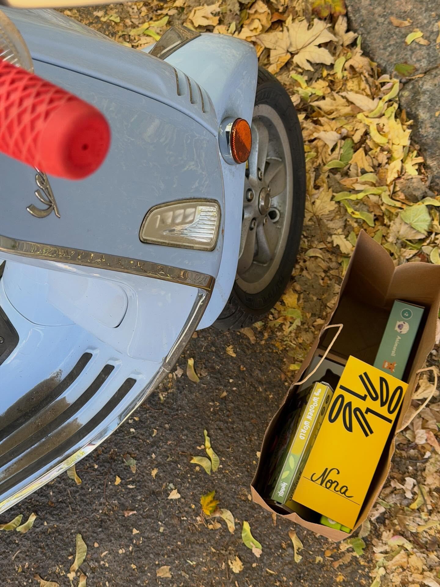 Fall deliveries scattered in a bed of leaves, with three little Noahs in the mix this season 🍂 Grateful for all the tiny hands that bring these toys to life ✨

&mdash;-

Des jouets livr&eacute;s entre les feuilles, trois petits Noahs en chemin 🍂 Et