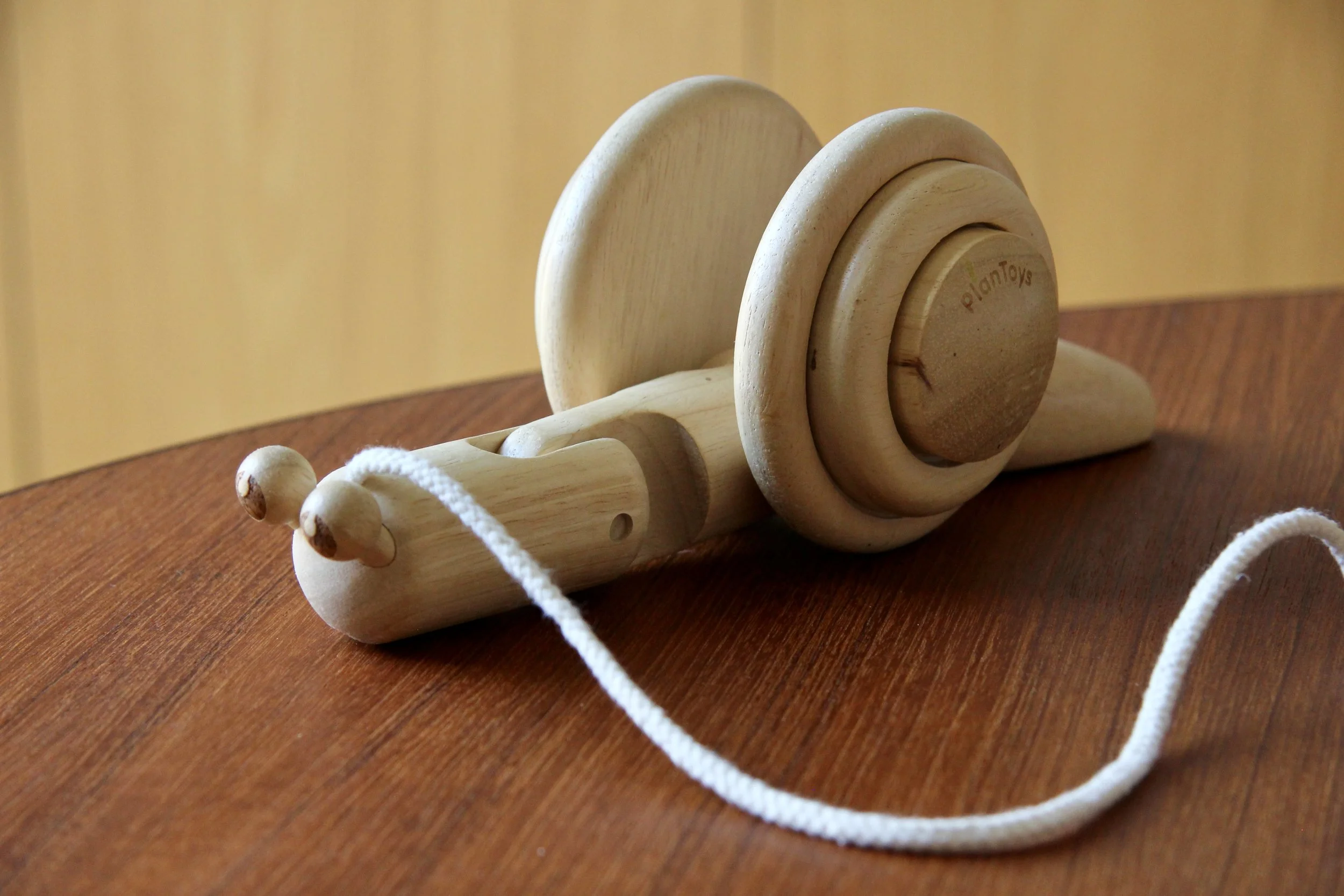 Pull Along-Snail