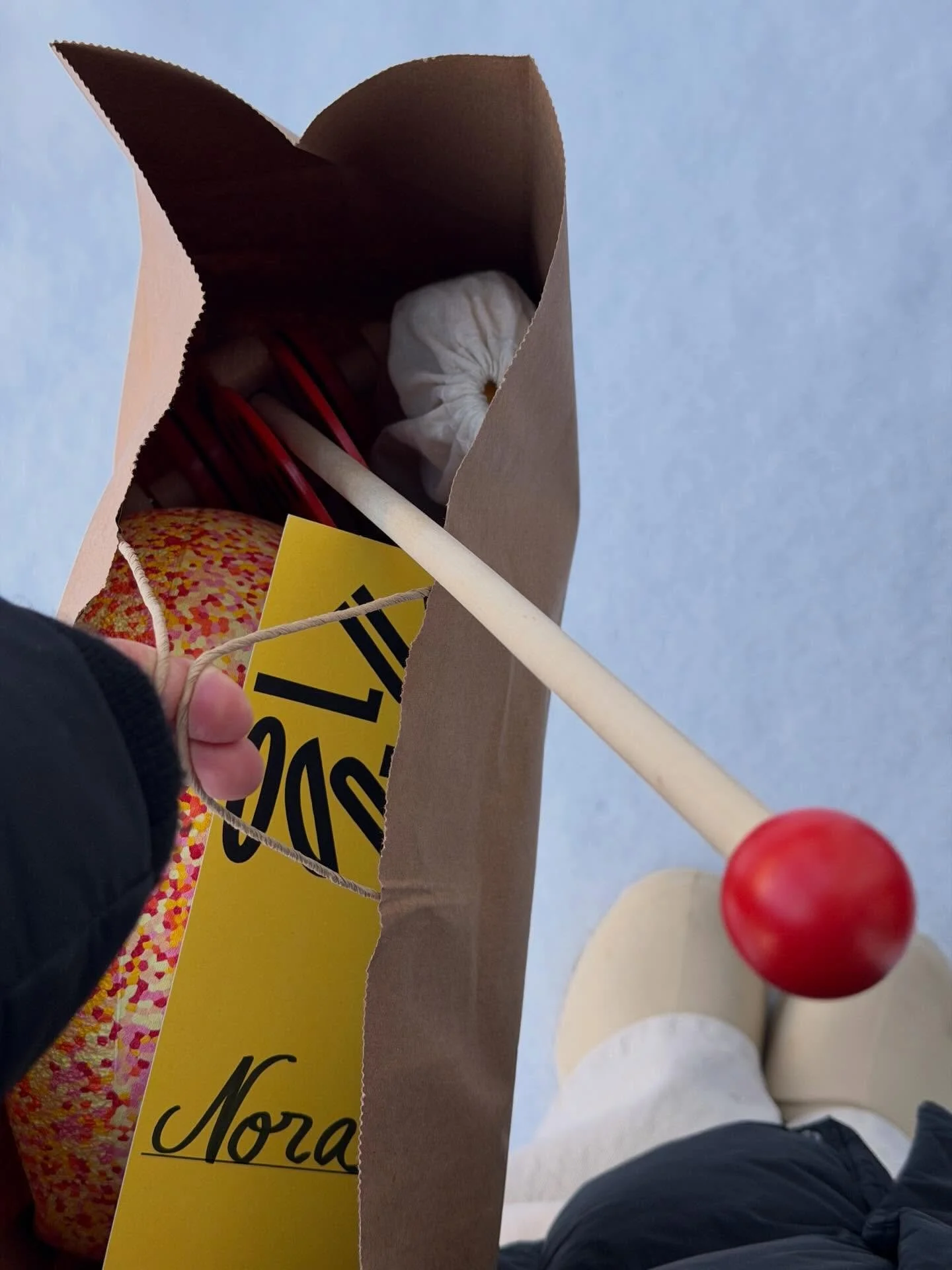 January delivery round up! Love seeing lots of new little munchkins joining the club ✨❄️❣️

#toylibrary #mtlkids #montessori #waldorf