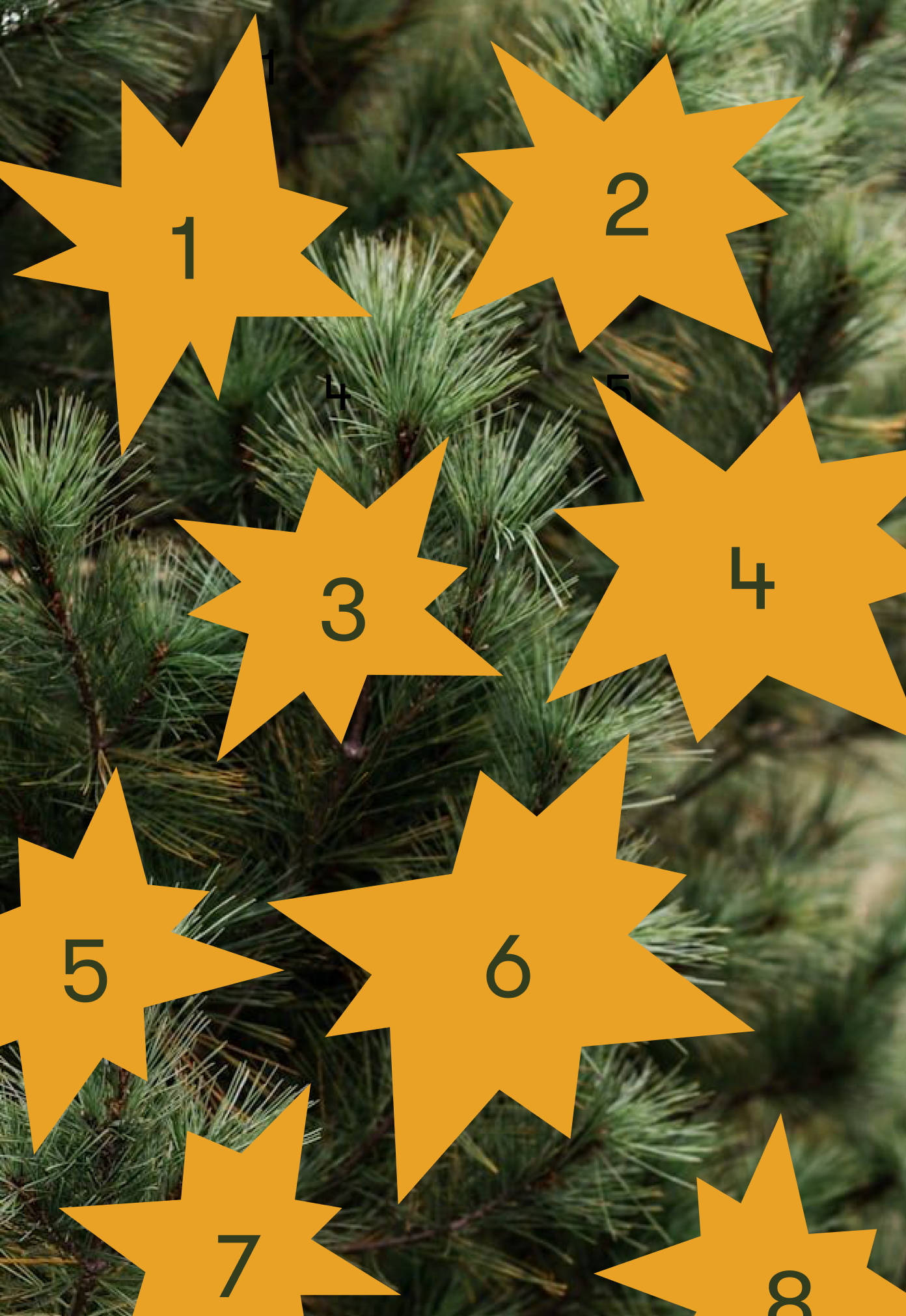 Advent Calendar Teaser.png