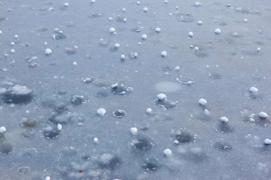 Hail Repair in Denver: What to Do After Hail Damage and How to Fix It Fast