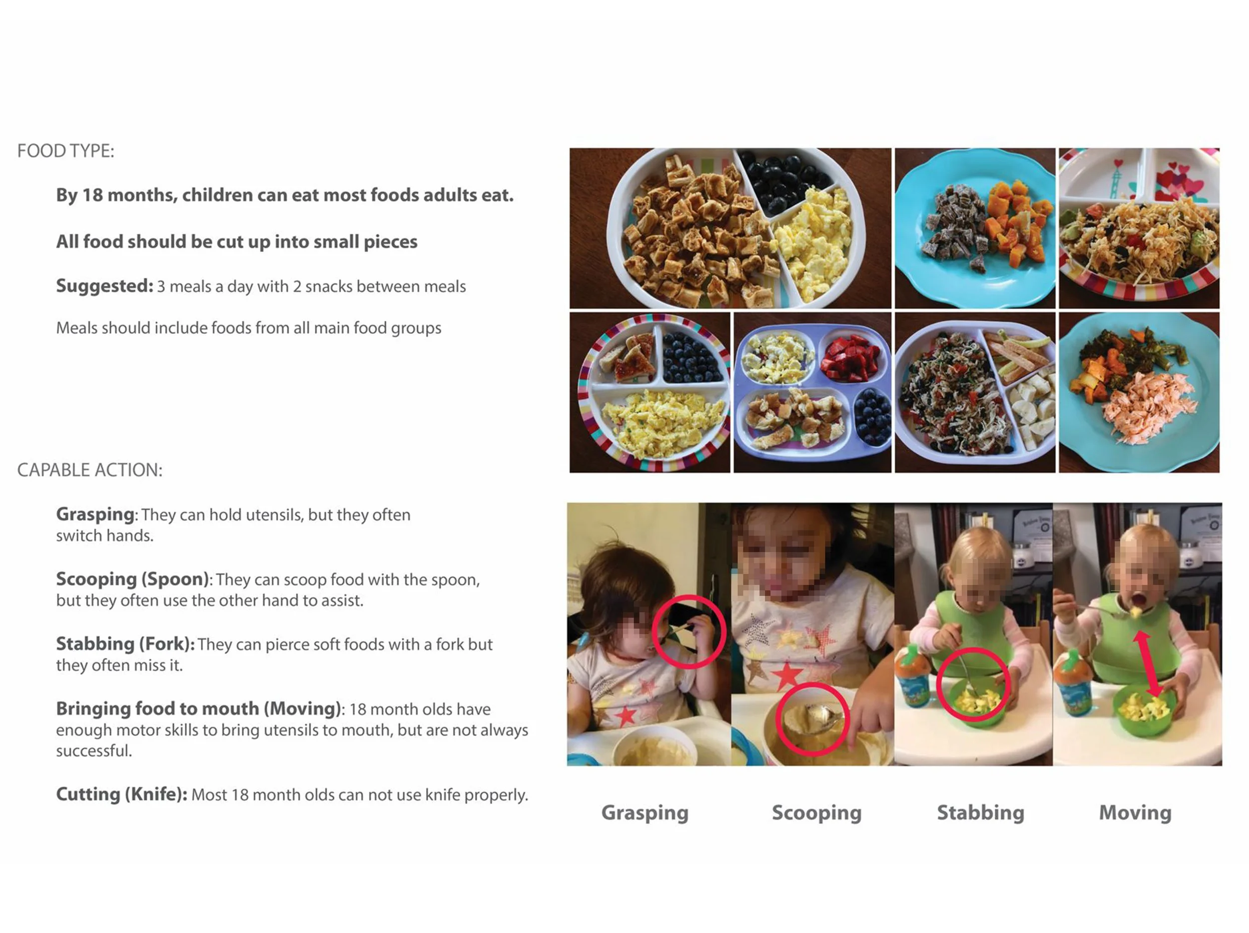 Research-18 months.jpg