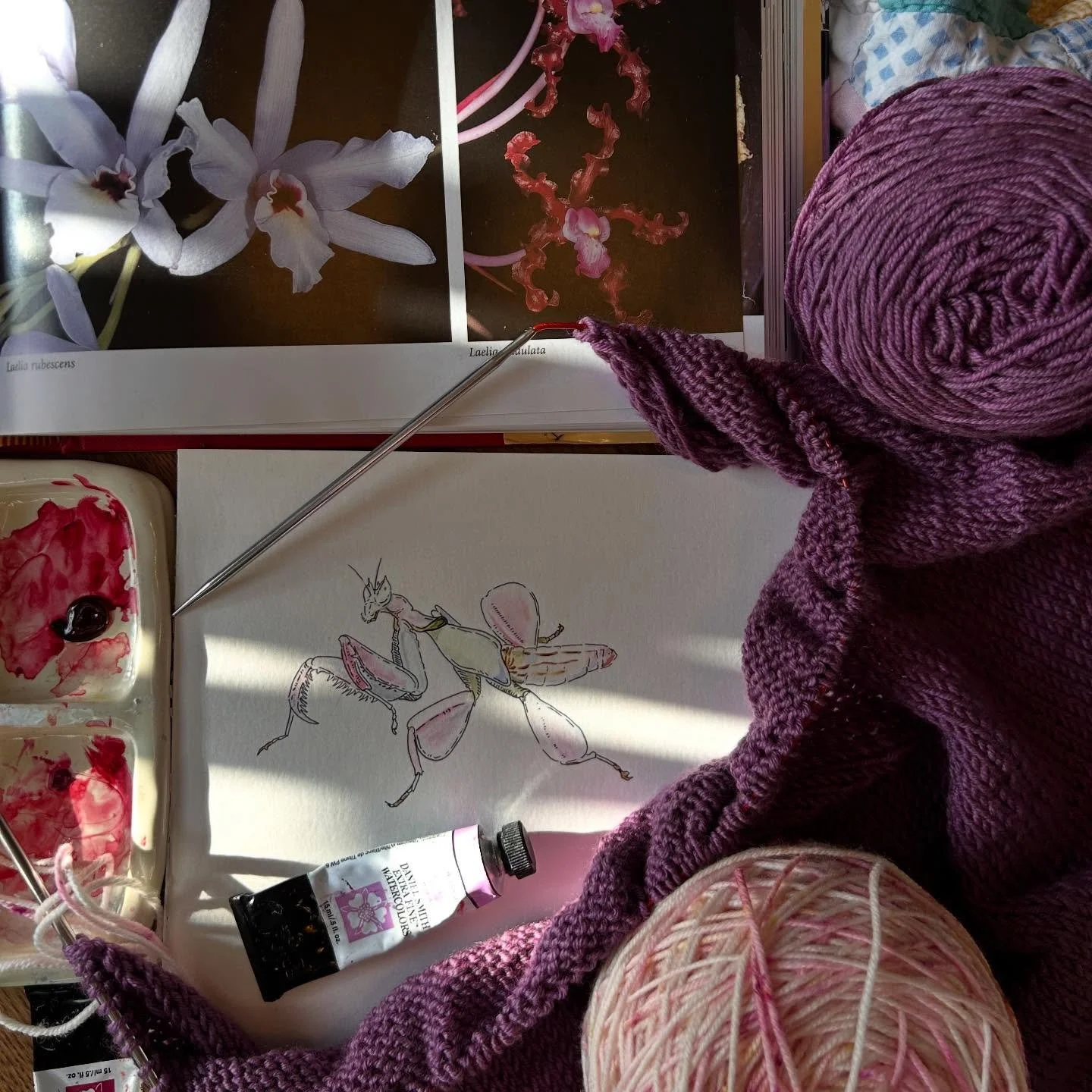 a sneak peek of what&rsquo;s on my needles 💜 

Did you know that most of the cute little orchid mantis pictures you see online (like this one) are babies??? adults have long wings covering their abdomens, which reduces their resemblance to their nam