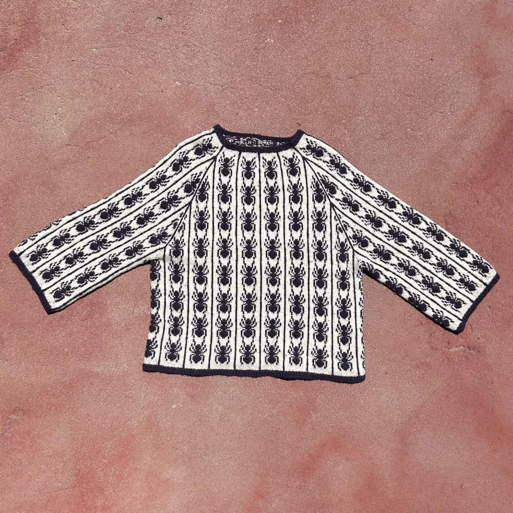 The original Ants in a Row Raglan
Yarn: Kelbourne Woolens Scout, in Natural and Plum Heather