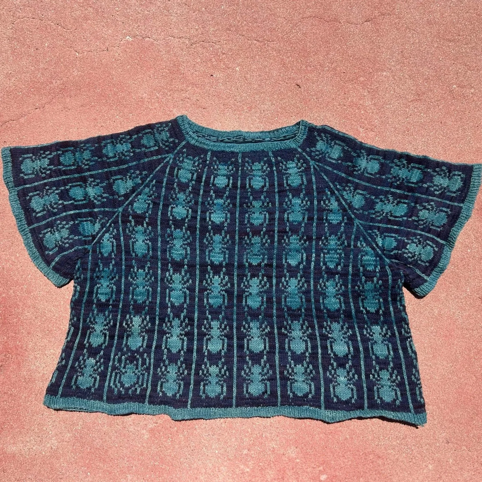 Ants in a Row Raglan t-shirt modification, update released spring 2026
Yarn: Jill Draper Makes Stuff Mohonk Light