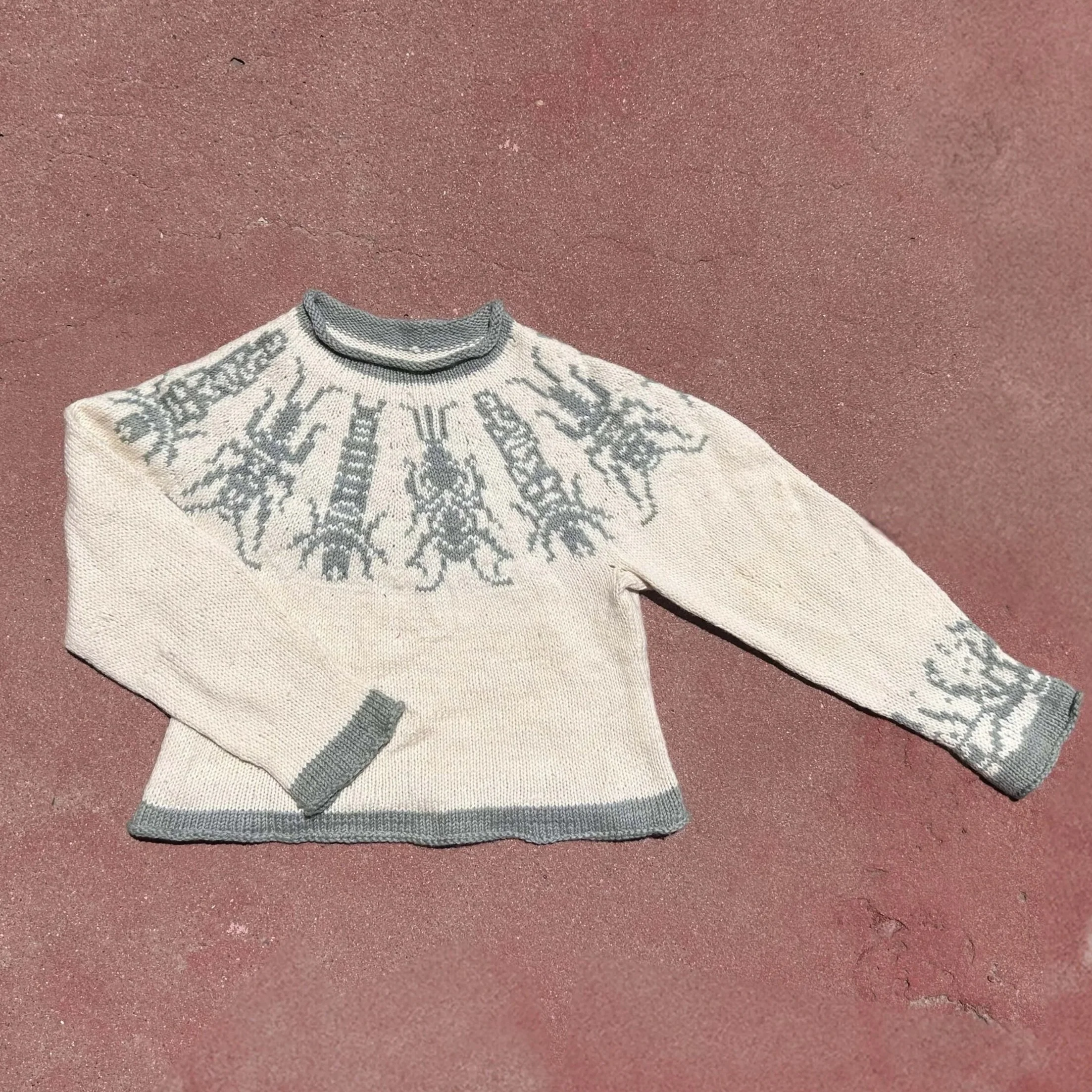 Fish Food sweater (coming fall 2026)
Yarn: Manos del Uruguay Ideal