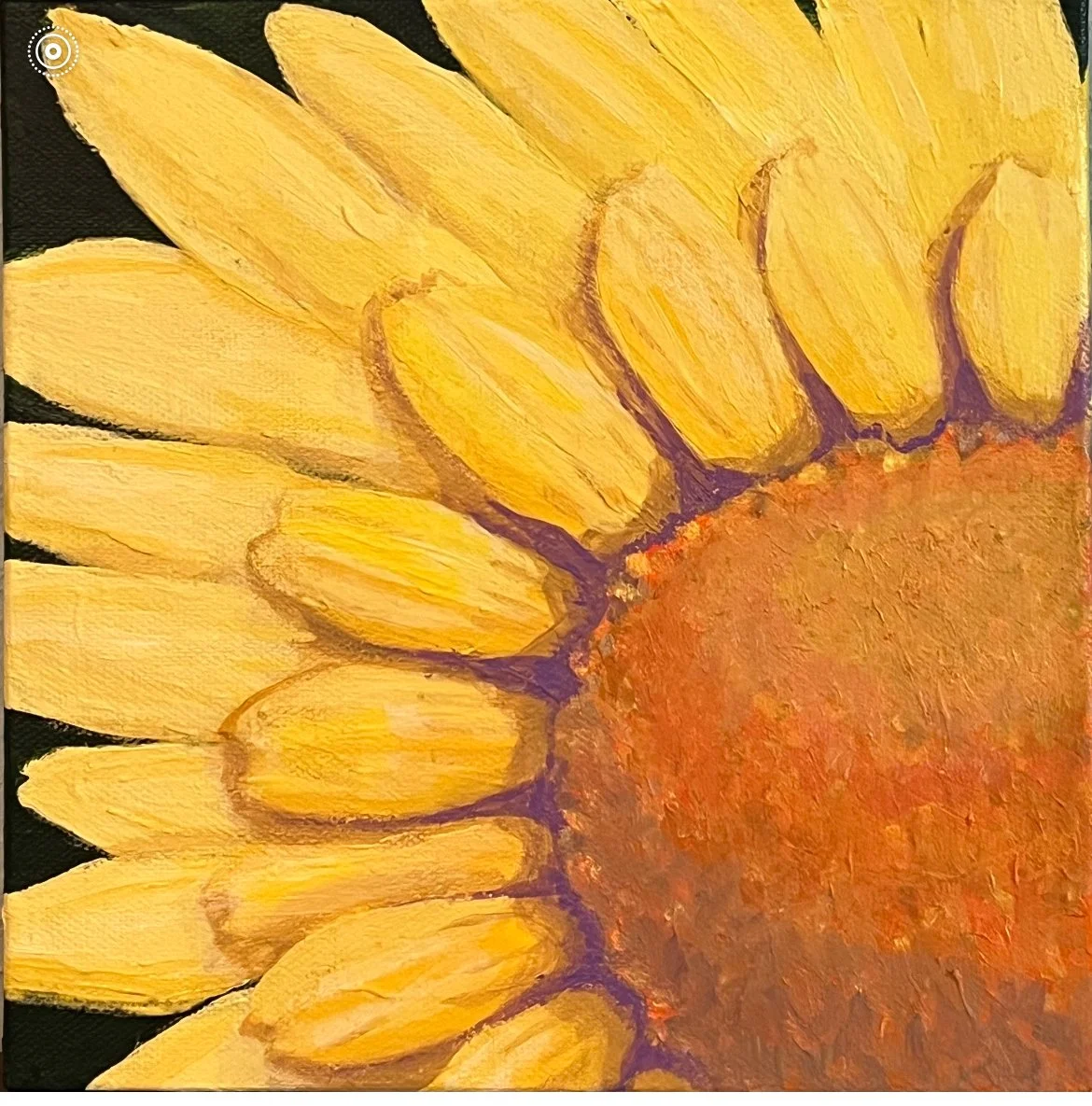 Sunflower.jpg