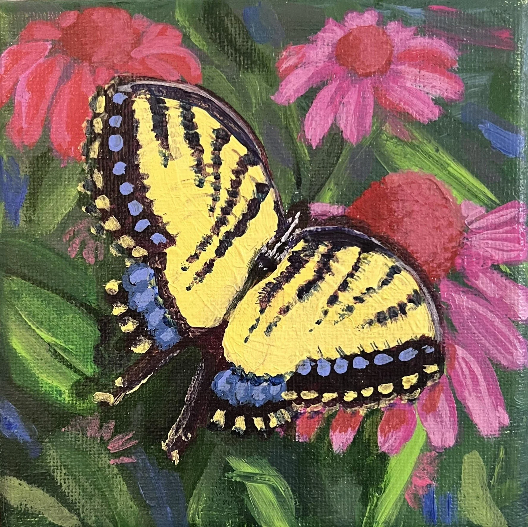 Butterfly.jpg