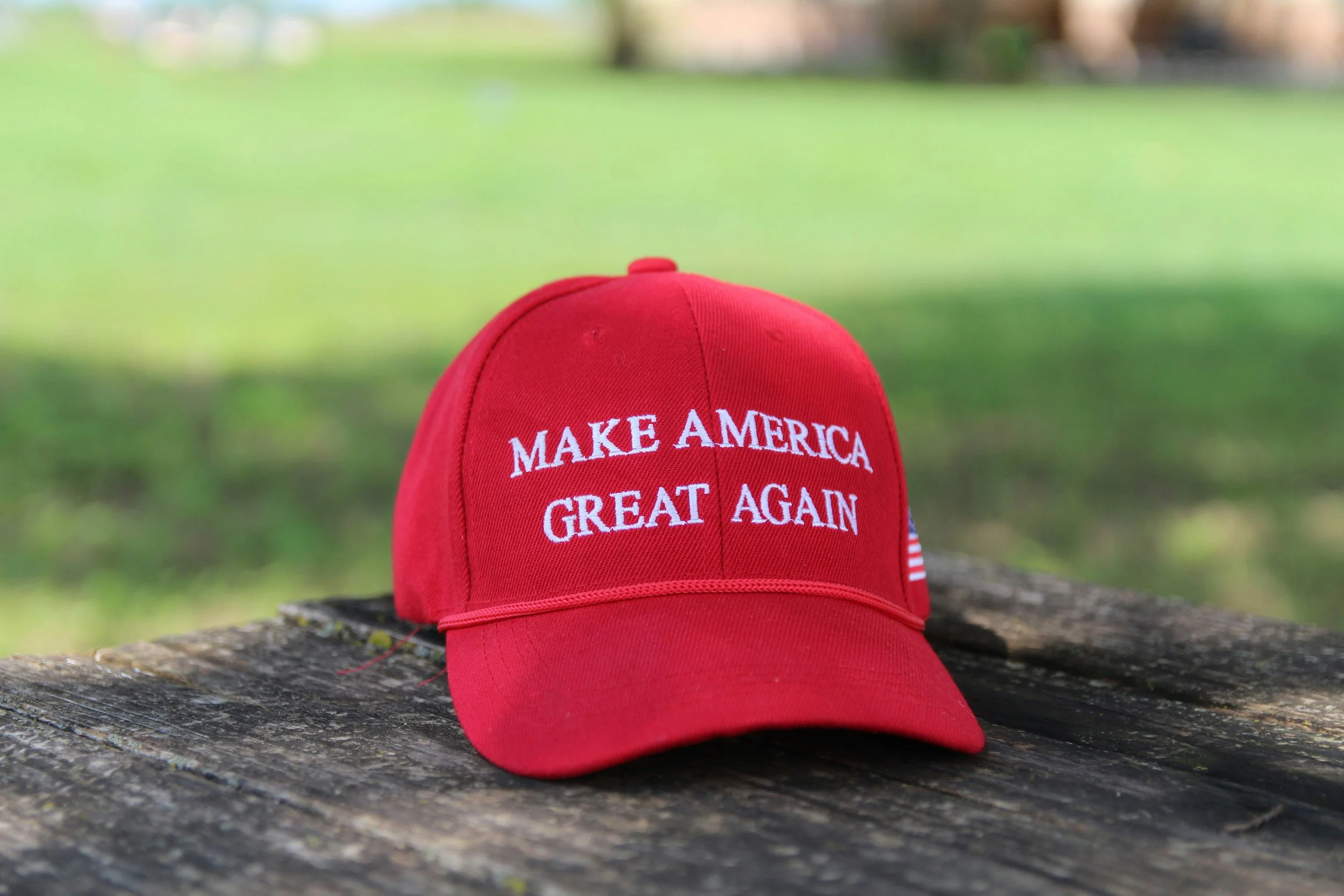 Populist Movements and Reactions to Them: Brexit, Trump, Bolsonaro, and Covid-19