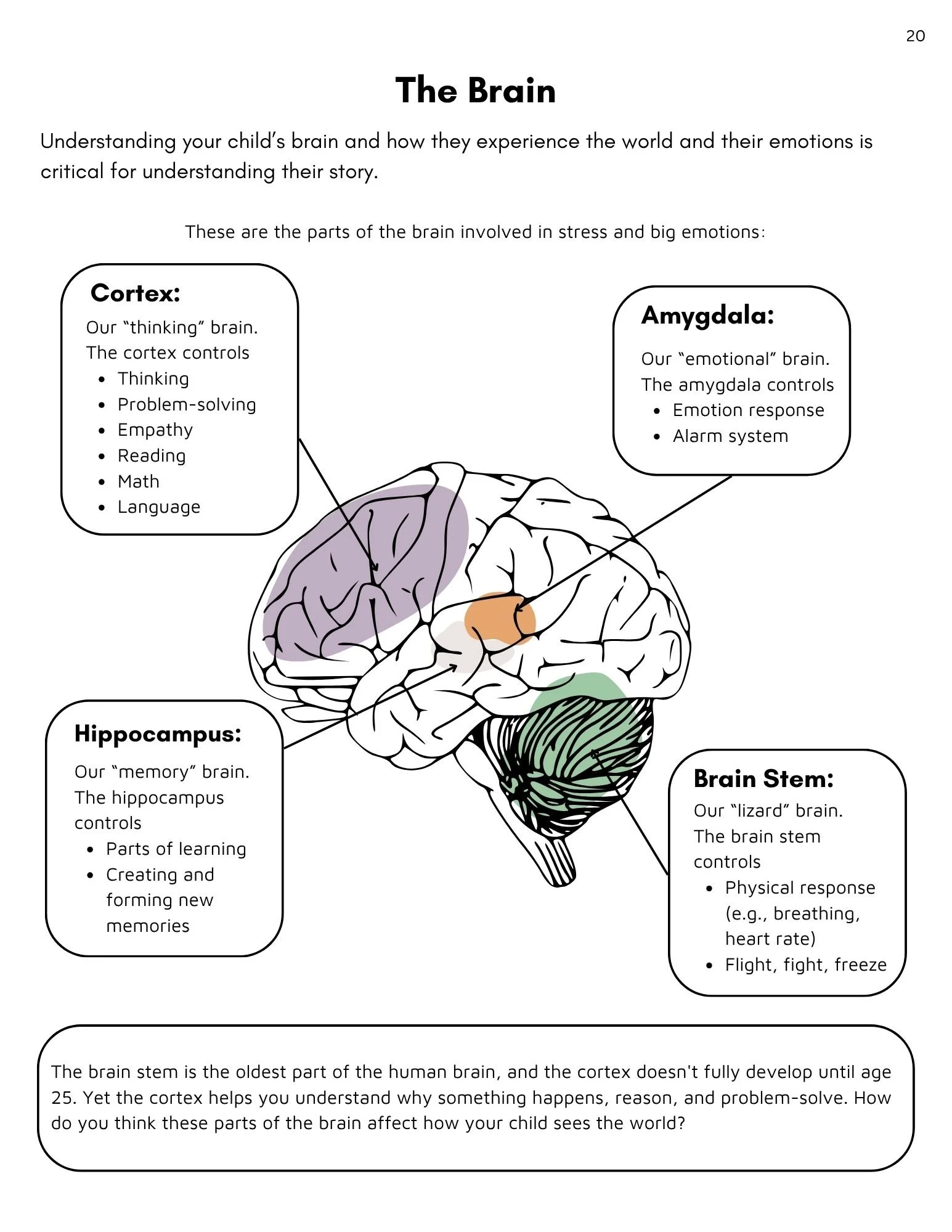 The Reflective Parent's Workbook (Large).jpg