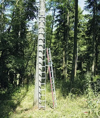 Infonachmittag Astung 8.Mai 2026