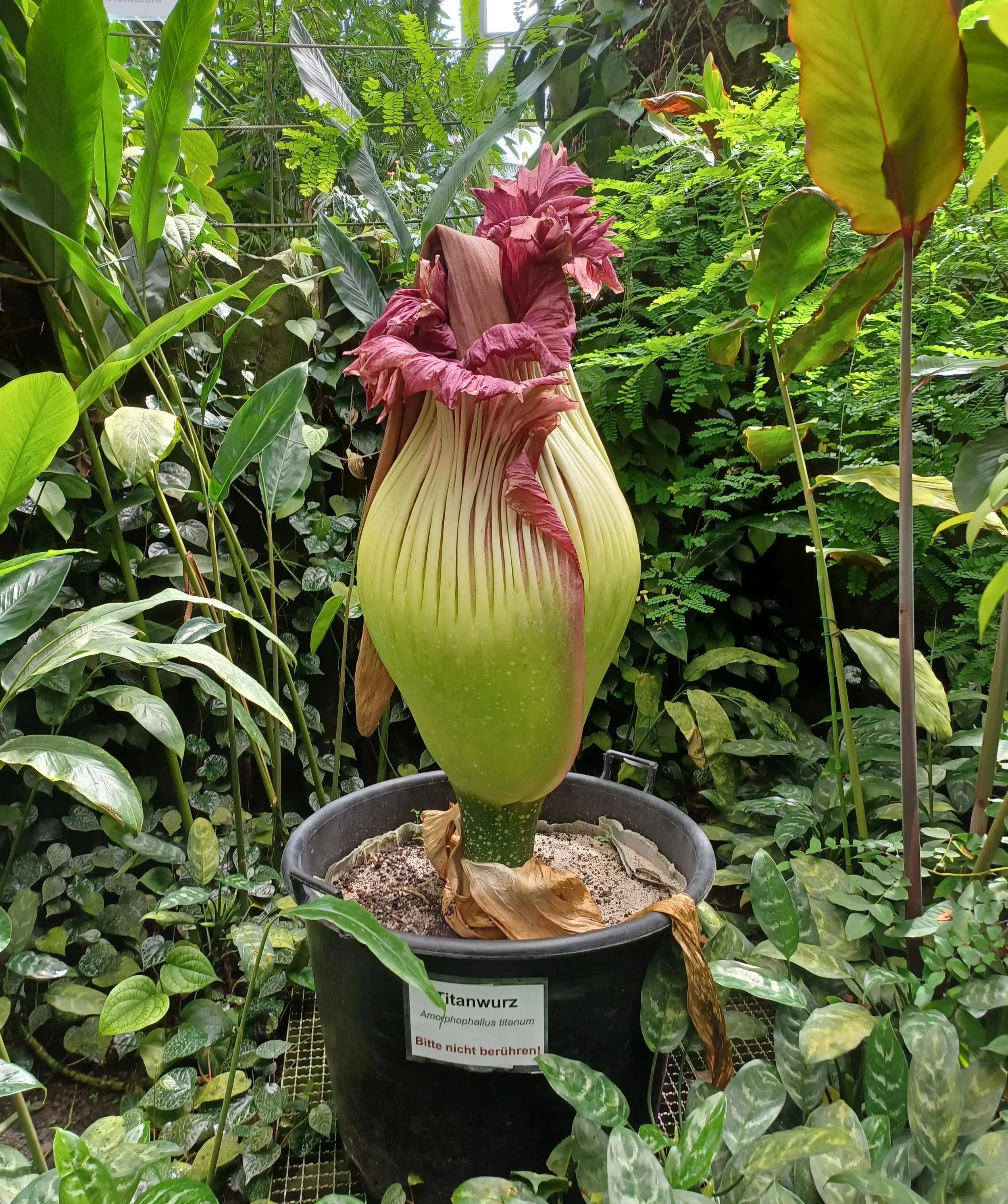 Exkursion in den Botanischen Garten Bayreuth