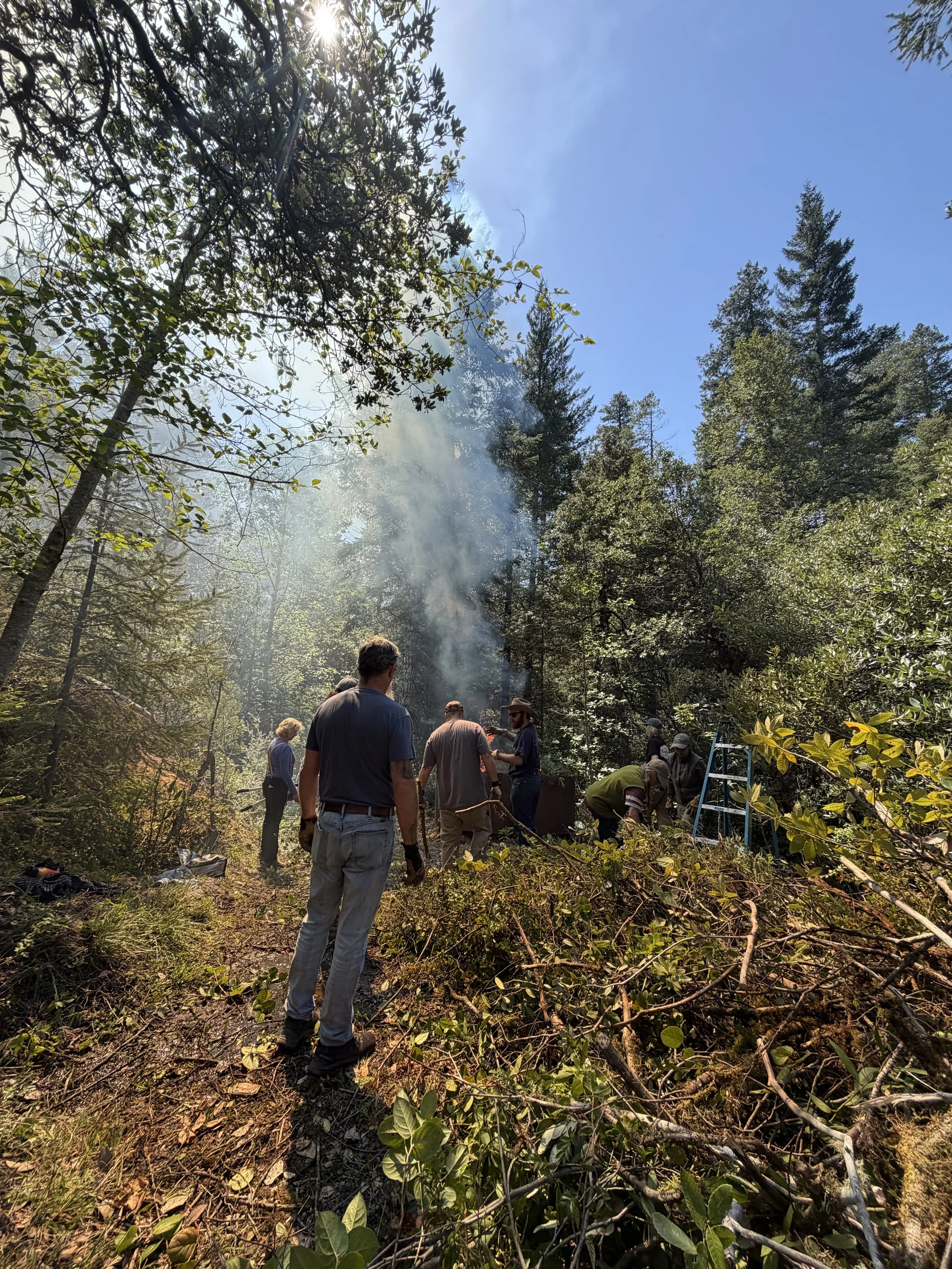 Photo of community members participating in a permaculture workshop on fire mitigation through DiRT & Glitter's Savaging Abundance Community Permaculture workshop from Ben Zumeta in Del Norte county