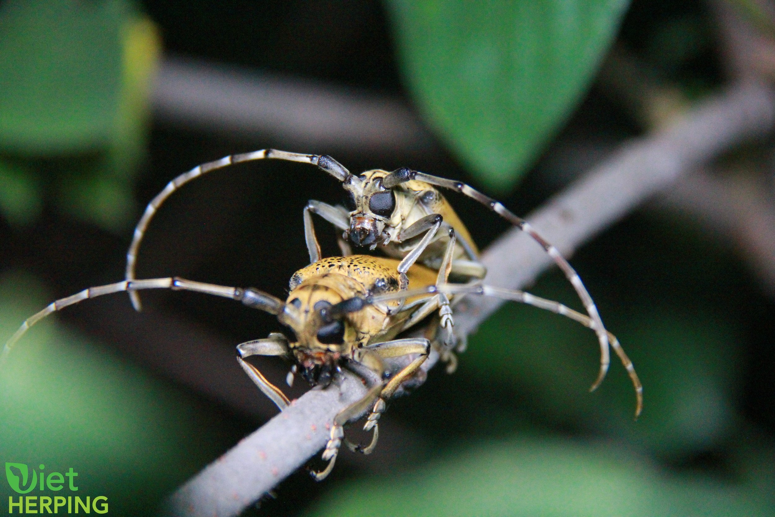 watermarked_Canon EOS 60D 5184x3456_000435.jpg