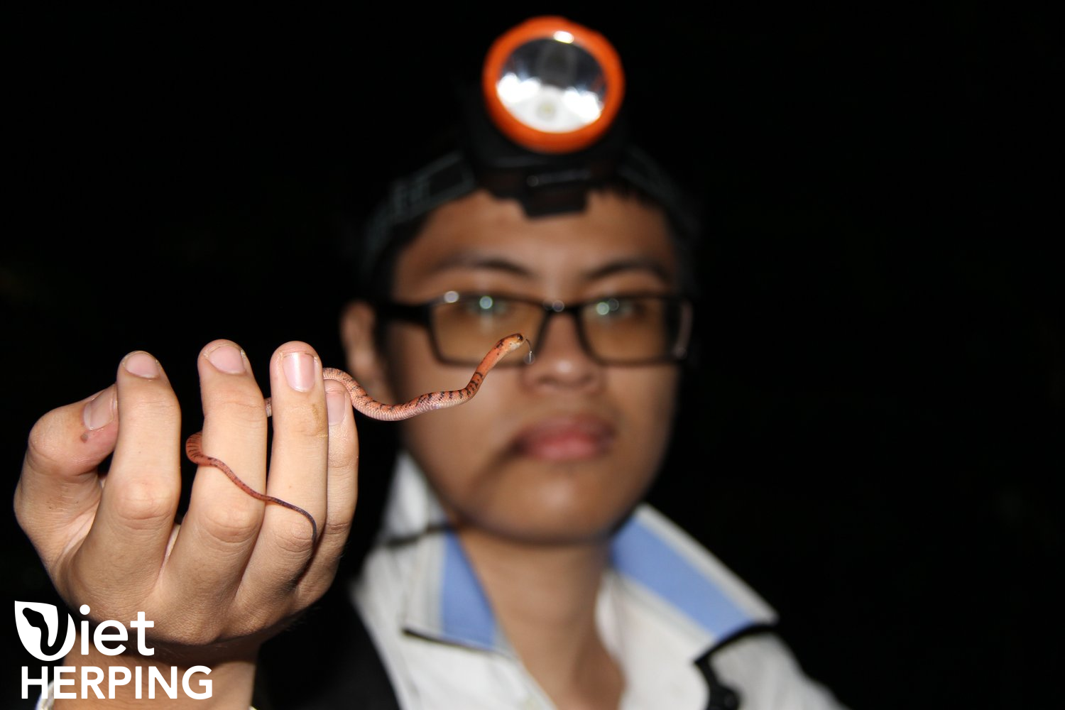watermarked_IMG_0277.JPG