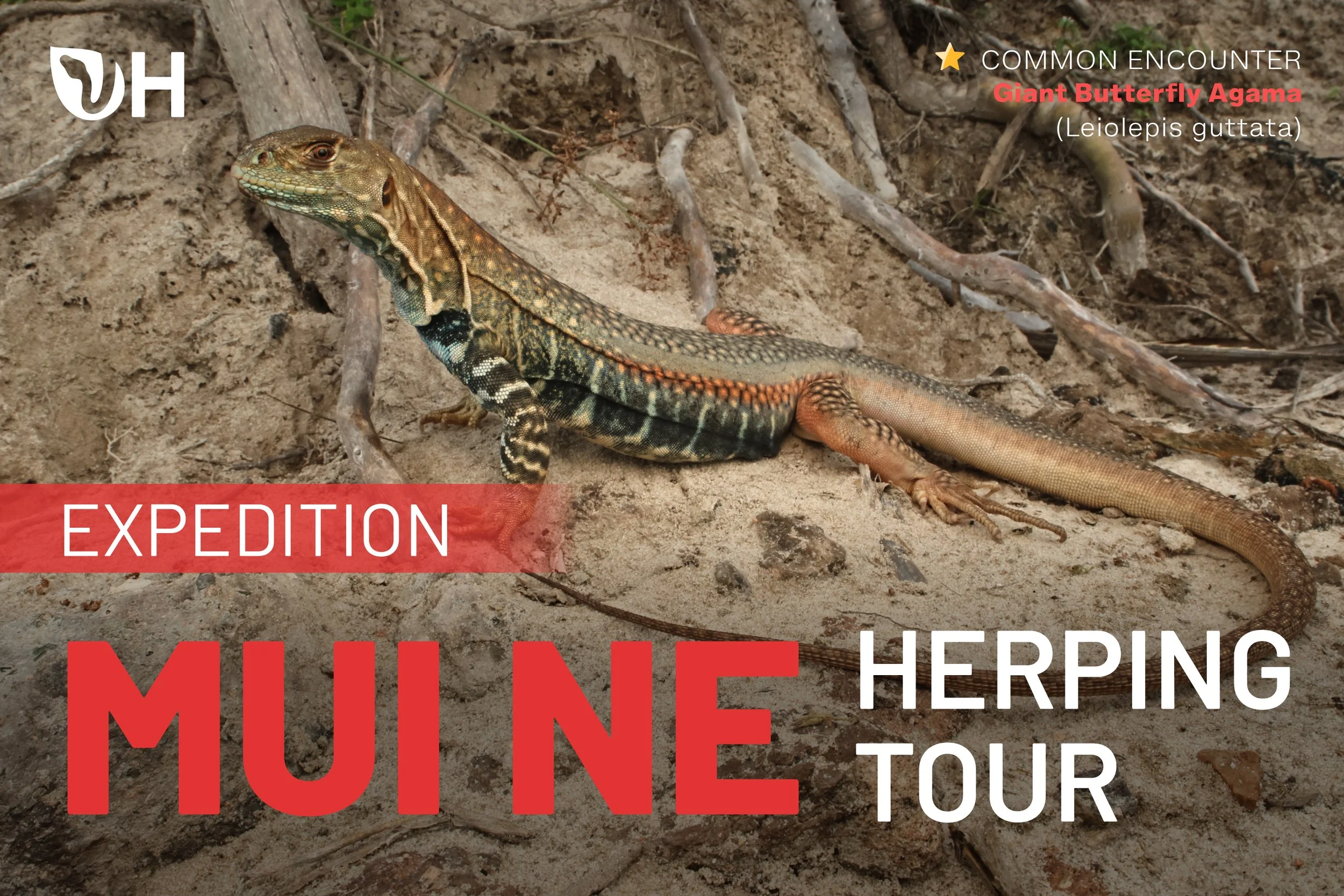 Muine Herping Tour (Easy)