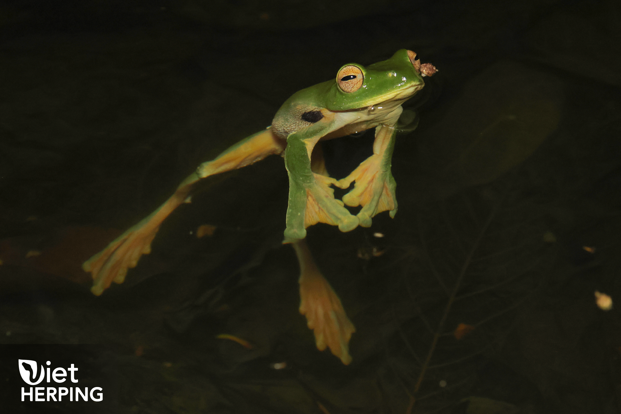 kajowdjiua-01.png