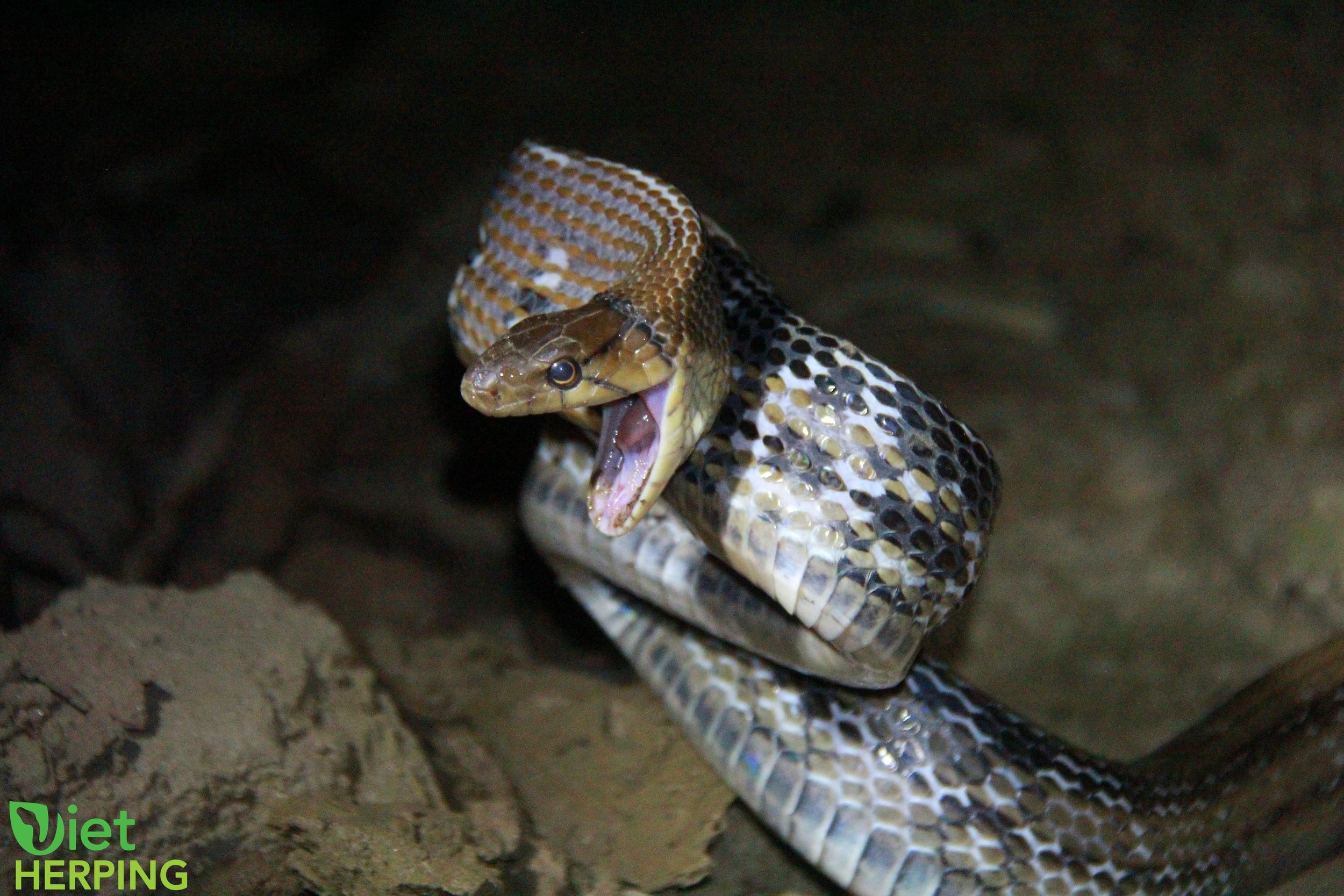 watermarked_Canon EOS 60D 5184x3456_000097.jpg