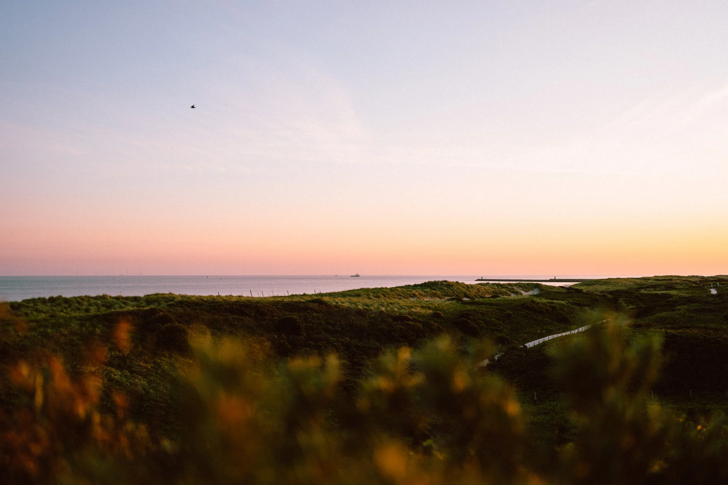 Photowalk: Summer solstice sunrise