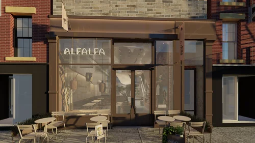 Alfalfa