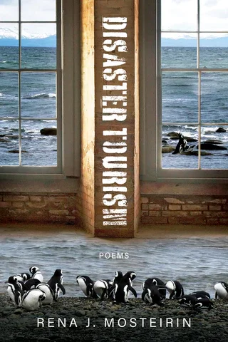 A Review of Disaster Tourism by &nbsp;Rena J. Mosteirin