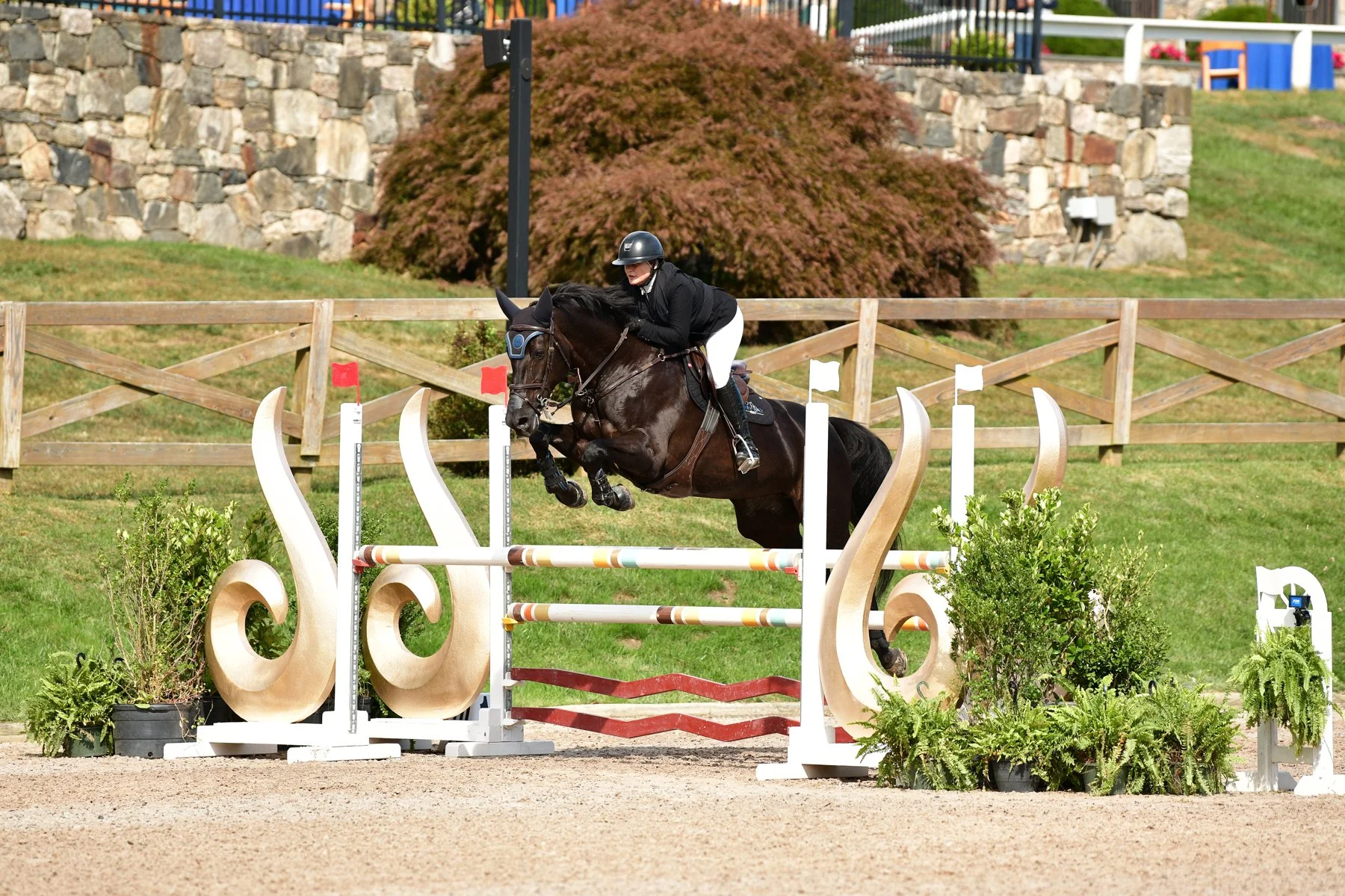 OSFFALL AO 1.10 CLASSIC 9-21-2024-45.jpg