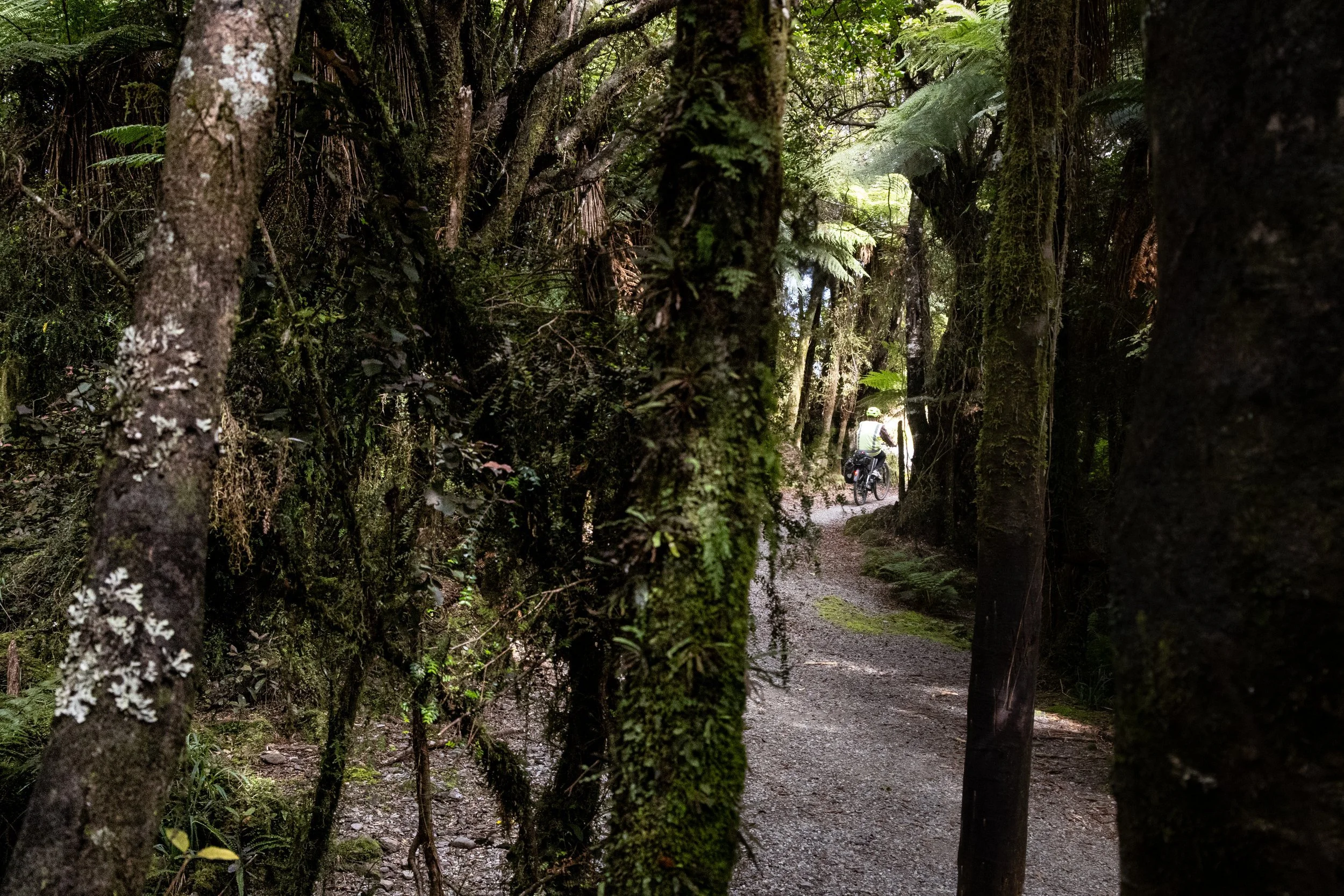 wildernessTrail-6887.jpg
