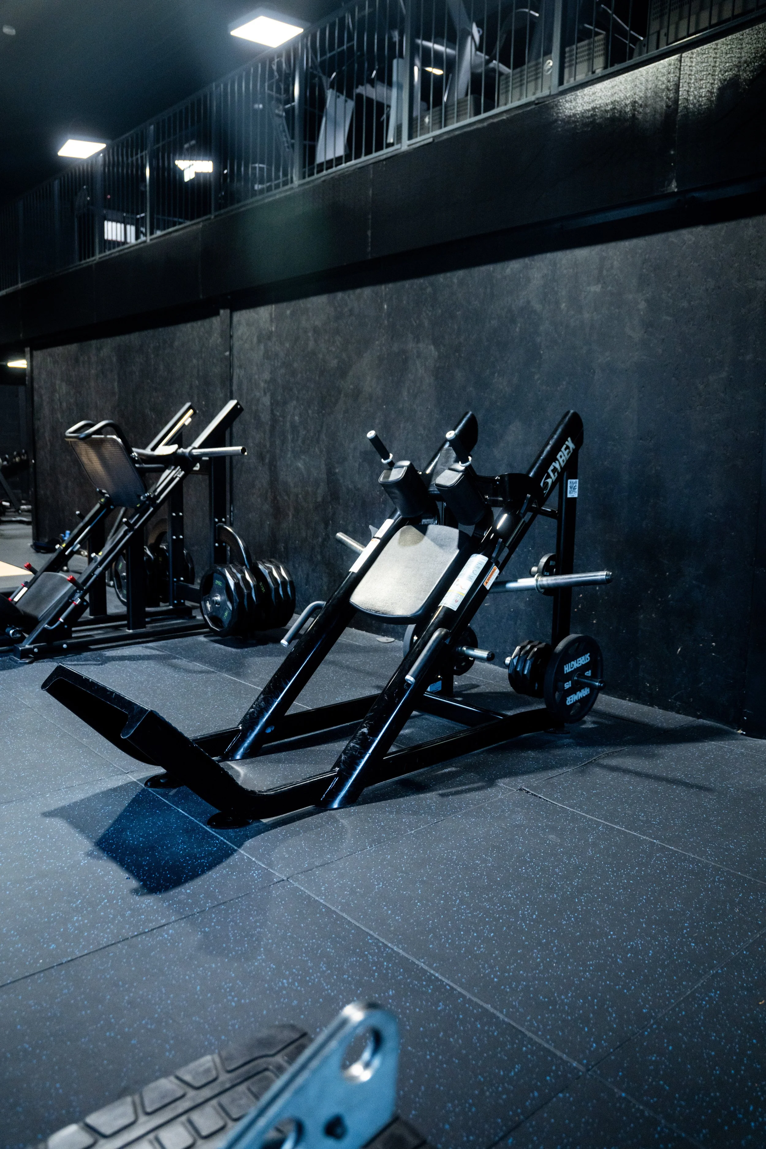 GainzGym-11.jpg