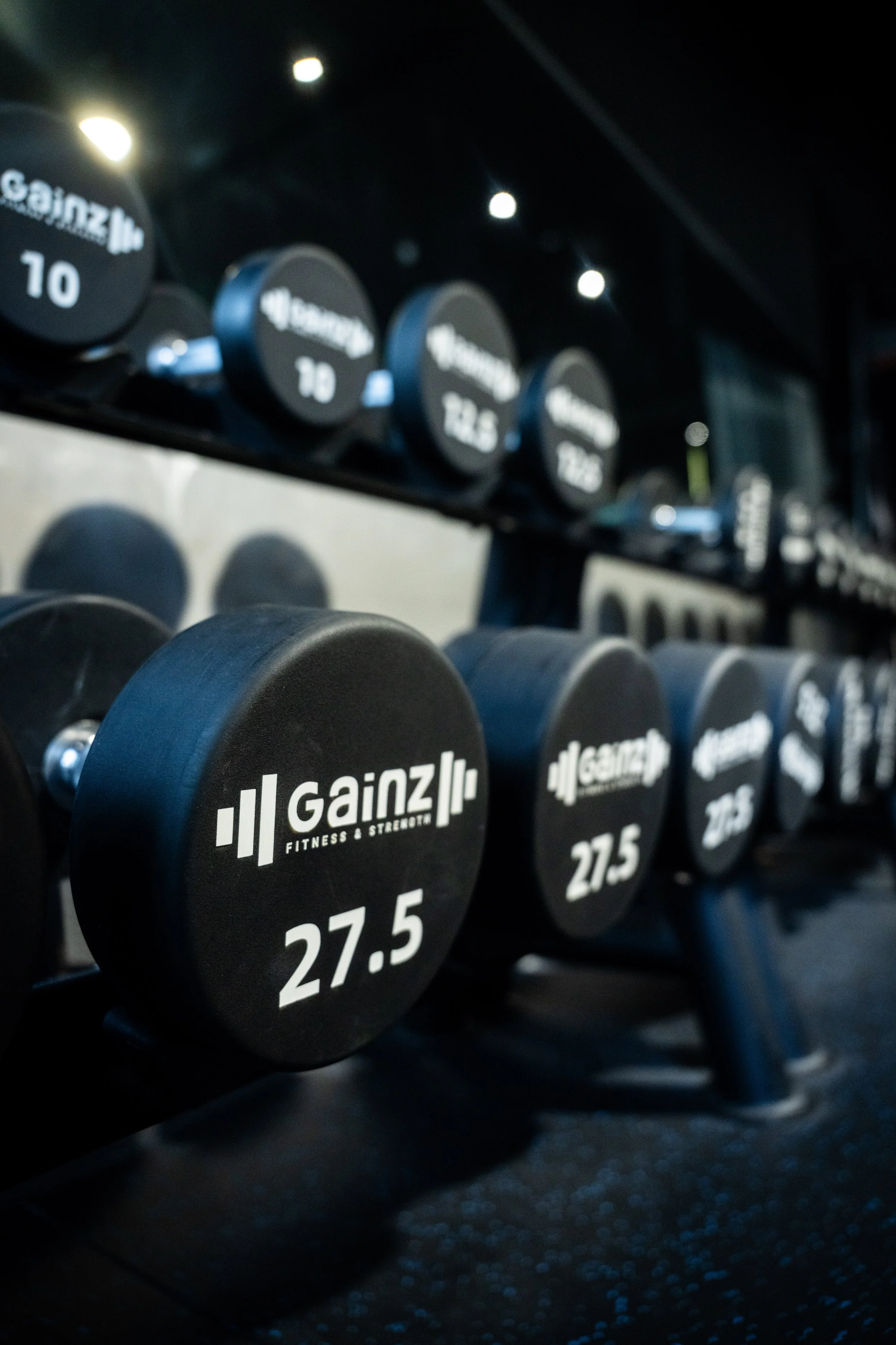GainzGym-04.jpg