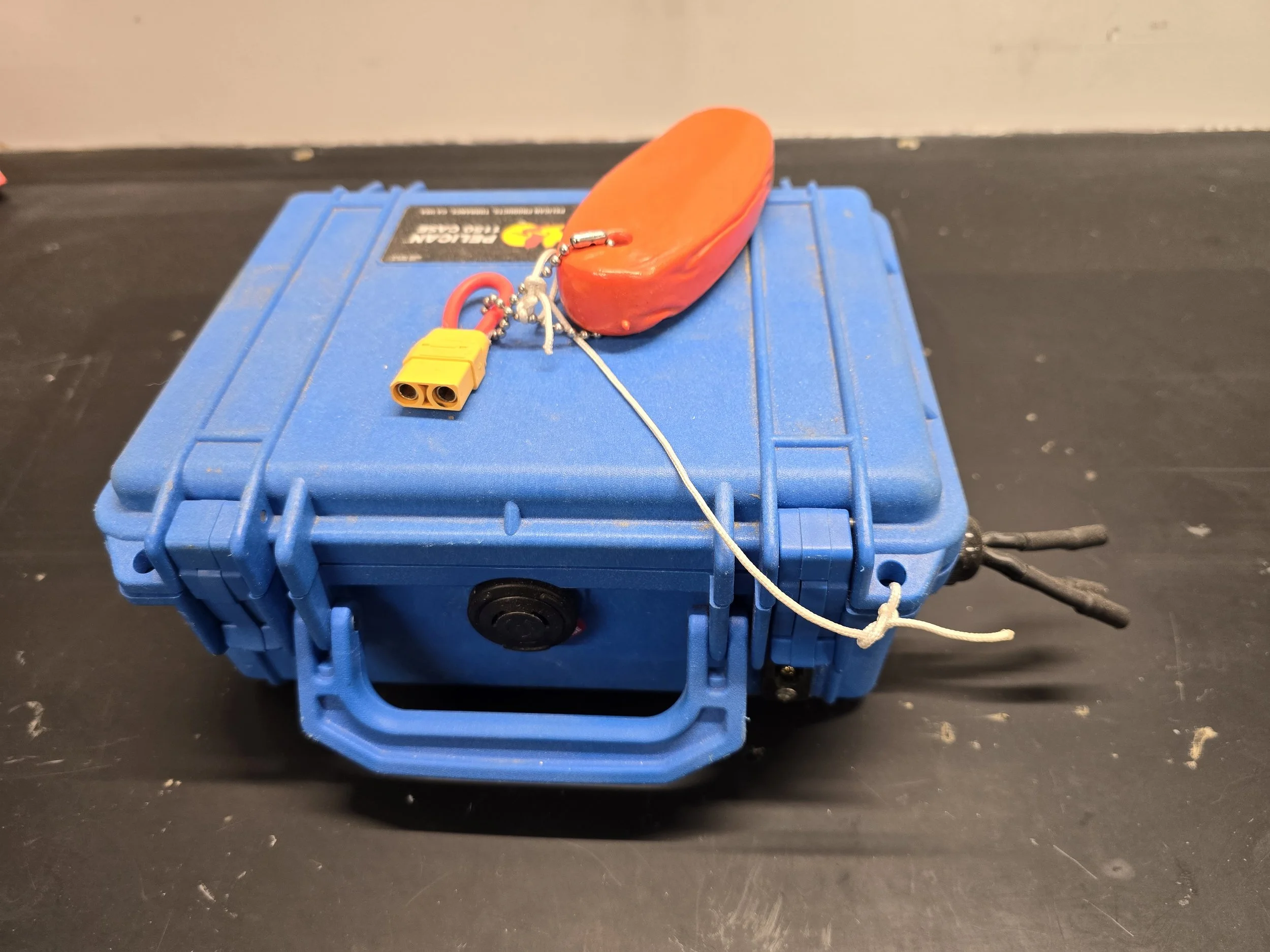 Complete battery and electronics mounted in a waterproof Pelican case