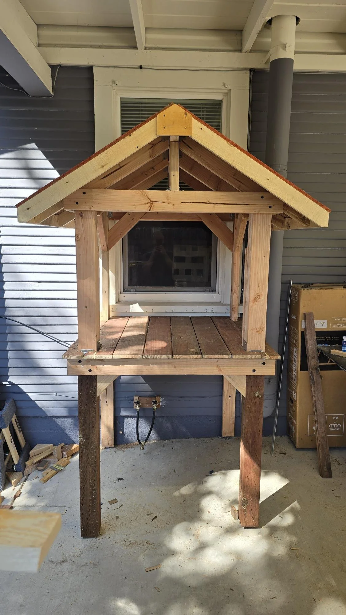 Catio build