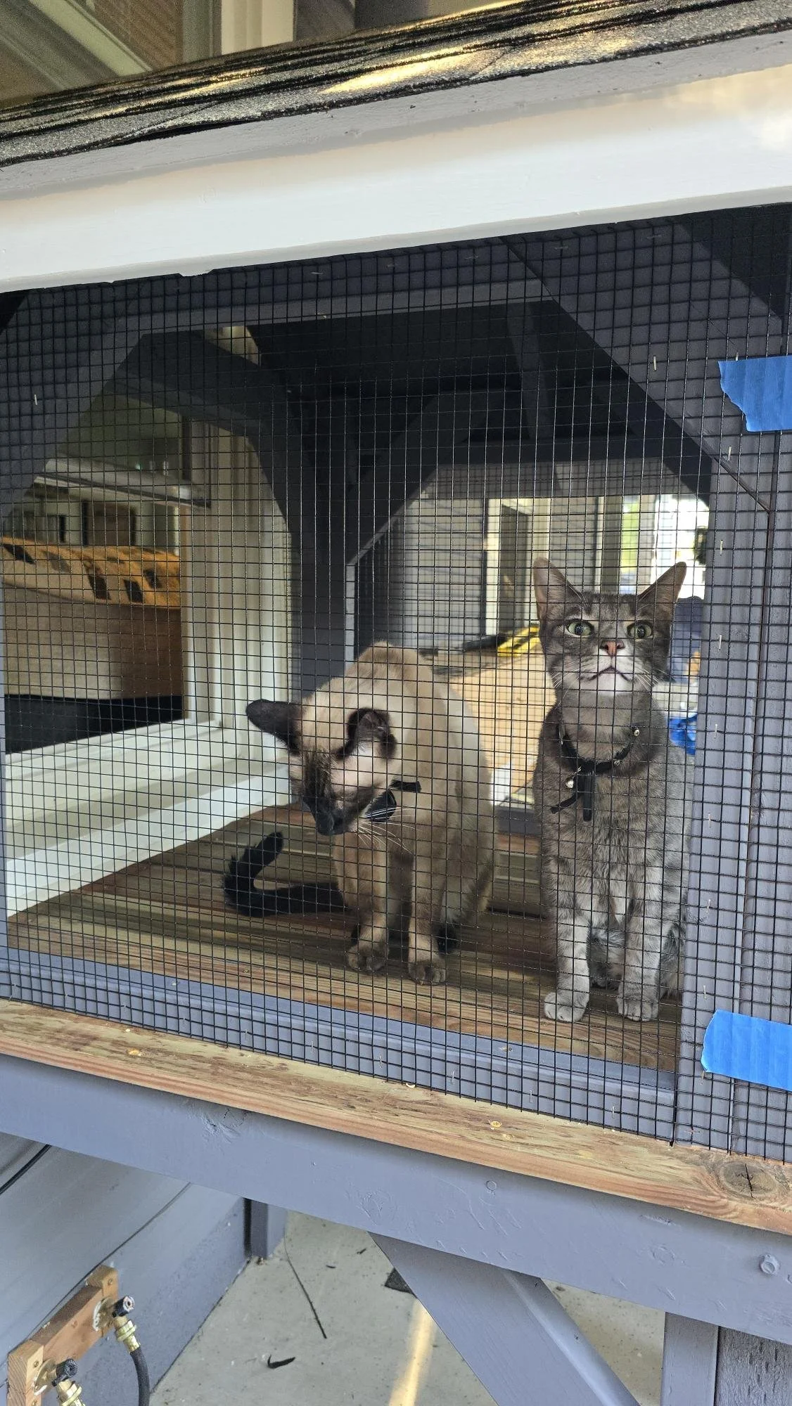 Residents moved in