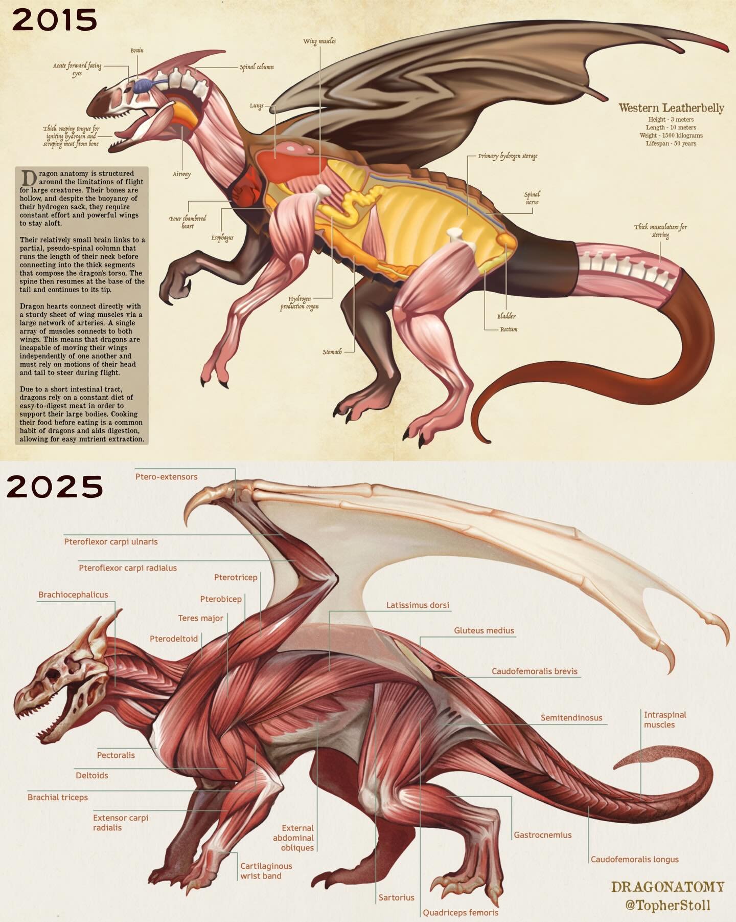 2015 // 2025 art improvements! Looking back on my first book A Natural History of the Fantastic, and comparing it to my most recent shows how far we can come! (And how far I have left to go) #artimprovement #dragon #fantasy #fantasyart #concept #illu