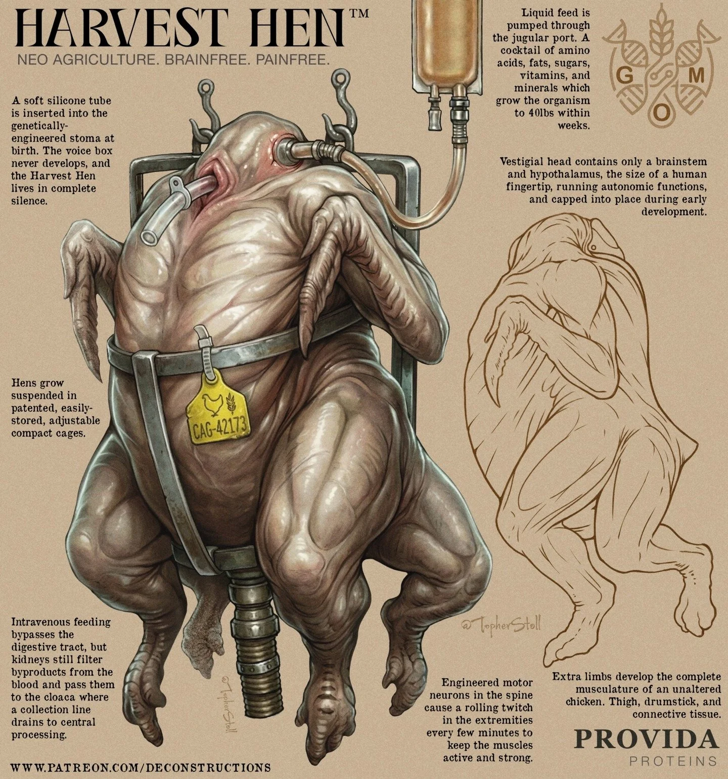 Why does this inspire such disgust in us? 

The Harvest Hen is a fictional organism, a chicken, technically. Genetically engineered for a single purpose: to produce as much meat as possible as fast as possible. The brain has been almost entirely remo