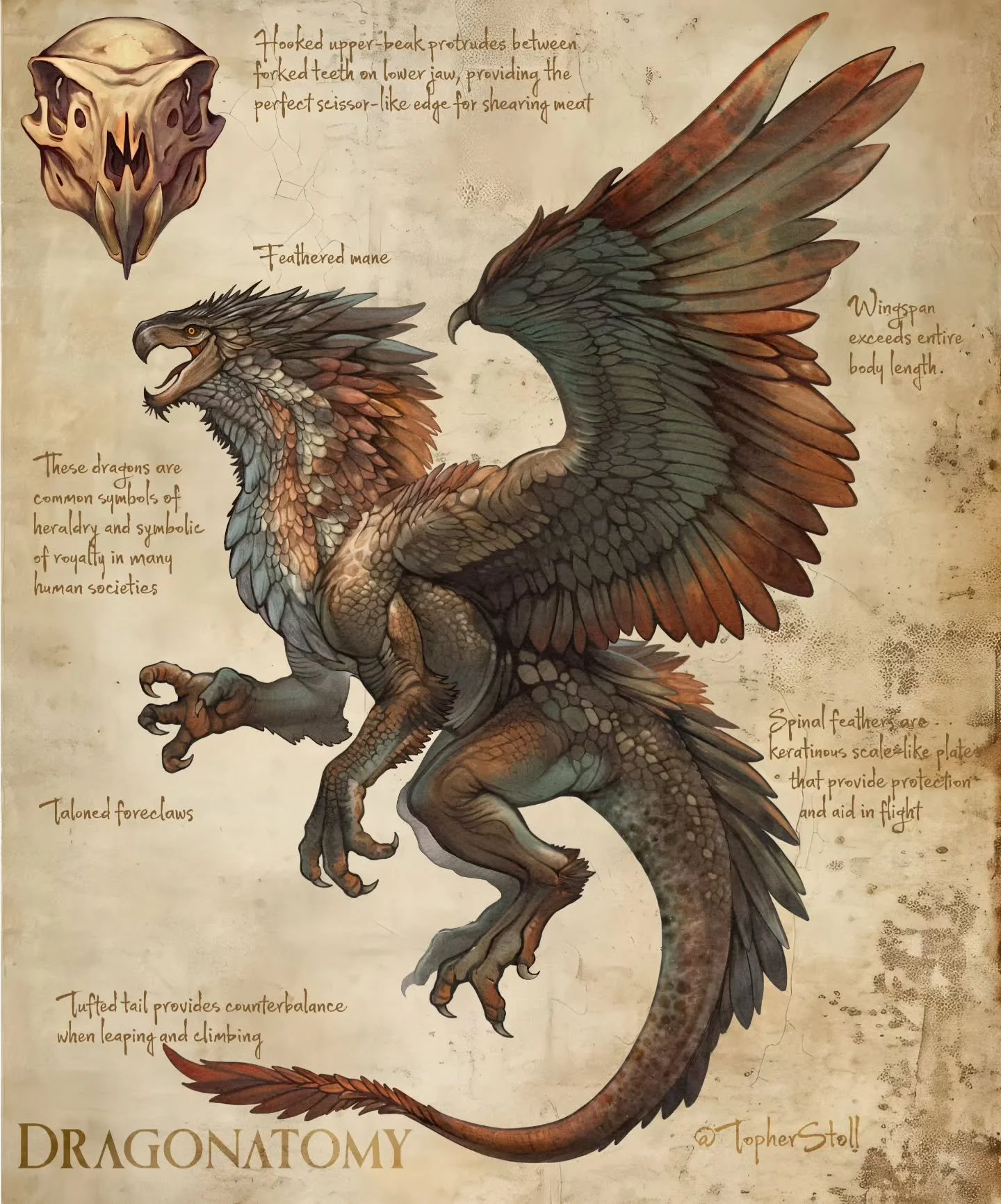 Did you know all griffins are dragons, but not all dragons are griffins? 

Dragonatomy: A Scientific Guide to Dragons is on Kickstarter now! With a full section on dragon origins and taxonomy.

Learn more at the link in bio

#illustratorsoninstagram 