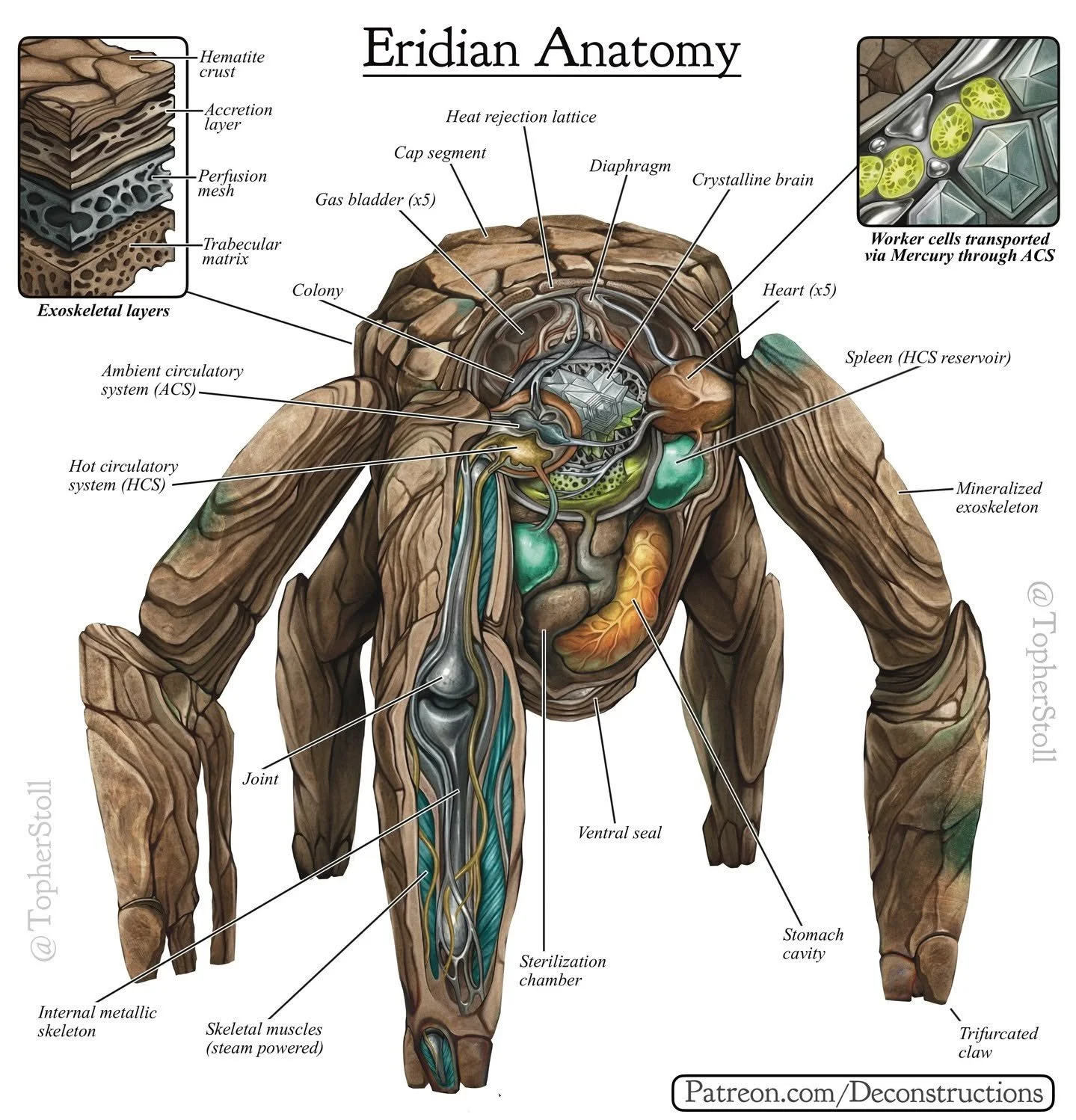 "Amaze! Amaze! Amaze! 
🪨💎🦠🪸🐚🧲🌡️♨️

If you've read Project Hail Mary, you know Rocky. I loved both the film and book, and Andy Weir (that loveable nerd) wrote a detailed worldbuilding doc for this species so I wanted to give it the full an