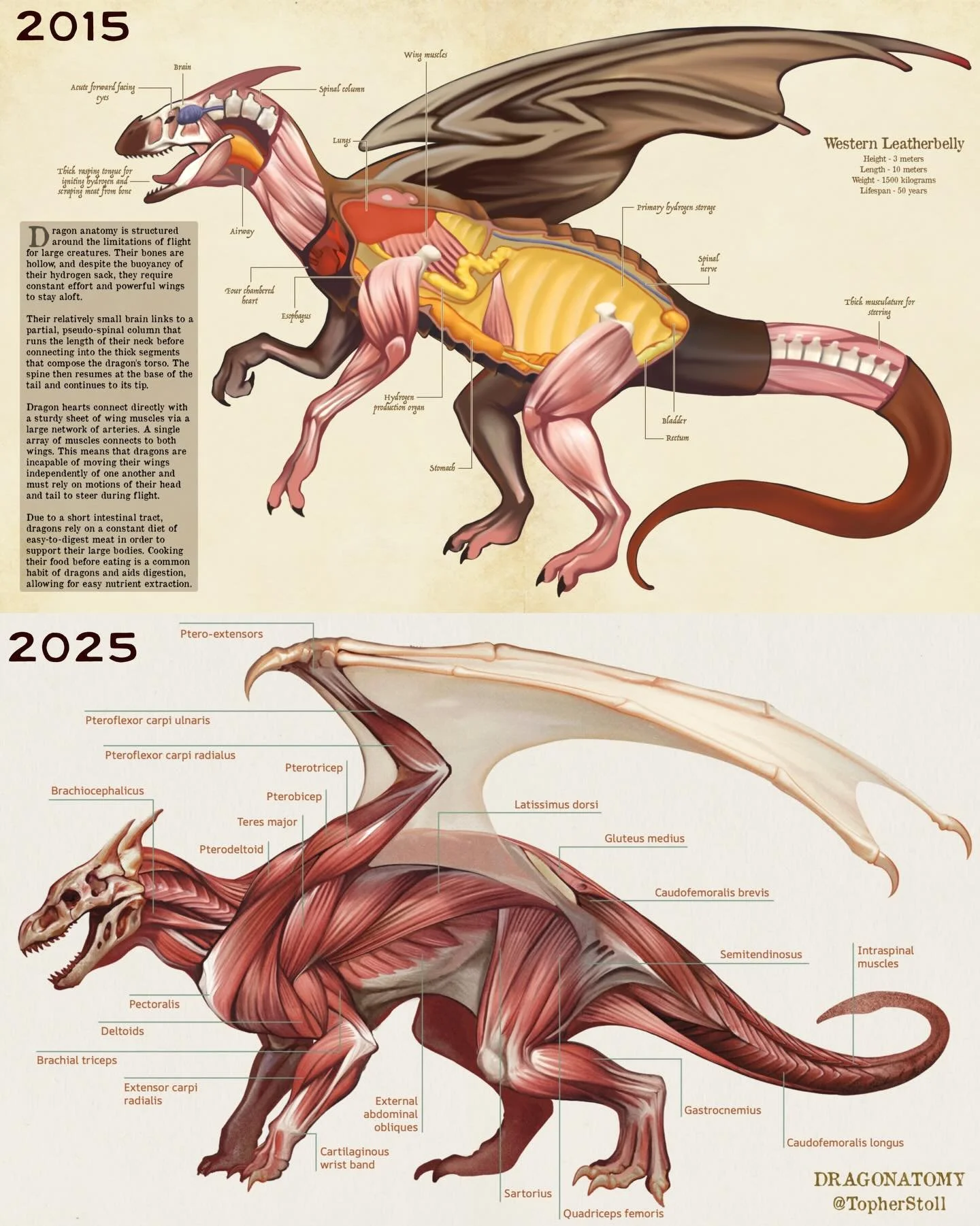 2015 // 2025 art improvements! Looking back on my first book A Natural History of the Fantastic, and comparing it to my most recent shows how far we can come! (And how far I have left to go) #artimprovement #dragon #fantasy #fantasyart #concept #illu