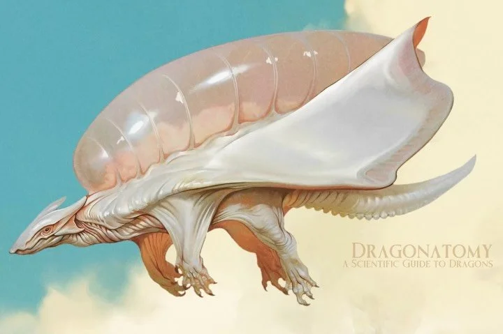 Drifting untethered through the atmosphere, skyborne dragons are among the lightest of all known draconic species. They are more akin to living zeppelins than to their earthbound cousins. Whereas most dragons rely on powerful wing beats to generate l