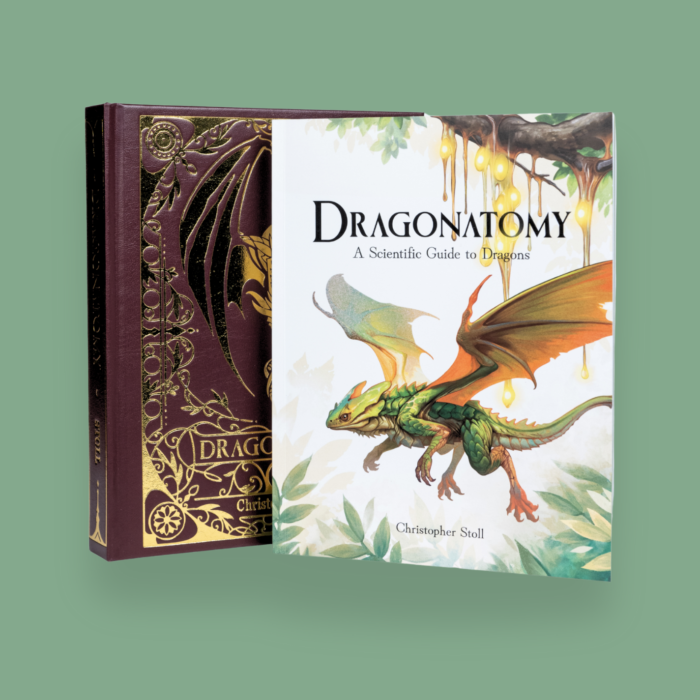 Dragonatomy: A Scientific Guide to Dragons