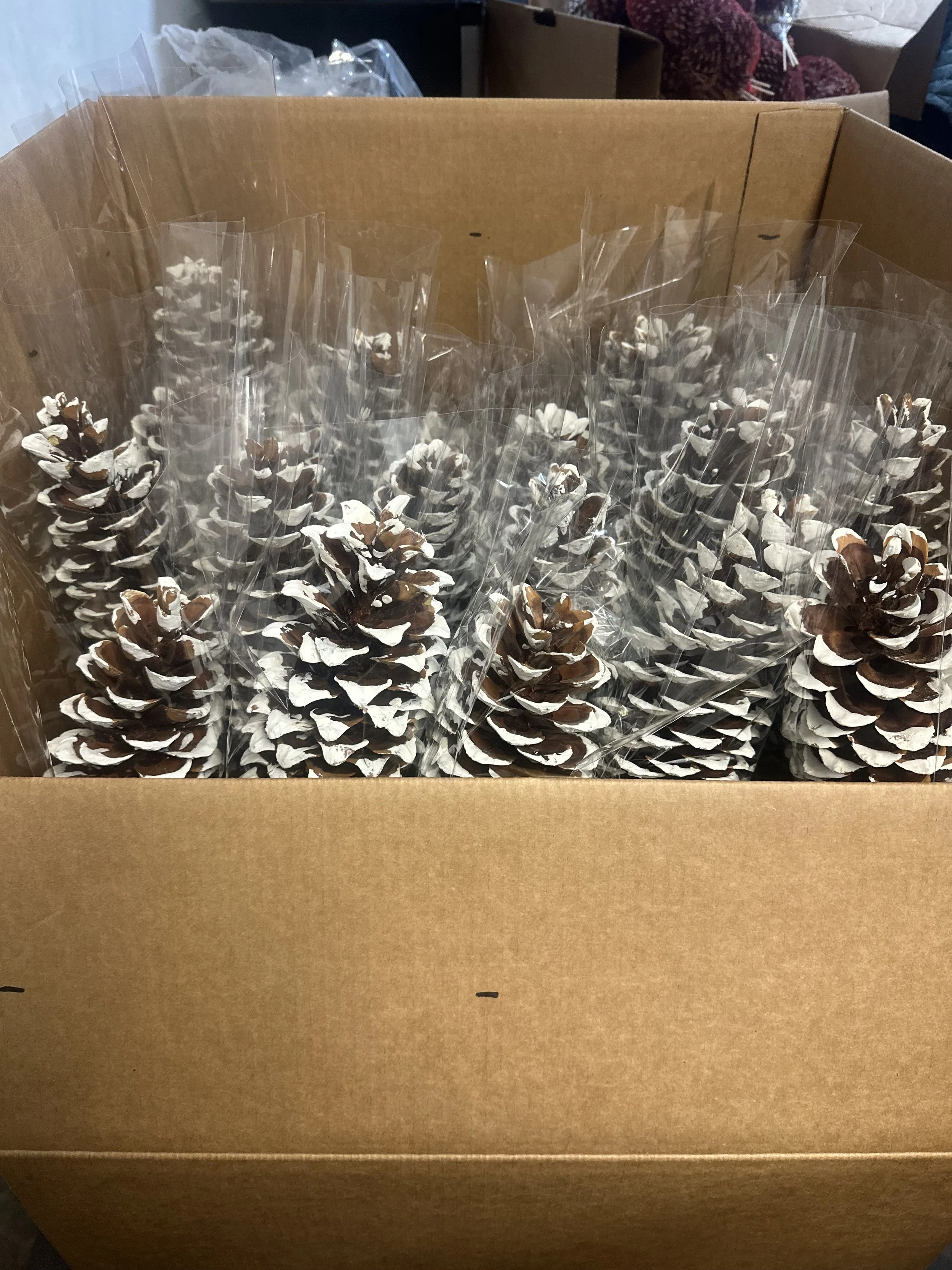 White Tipped Sugar Cones with/ pick. 