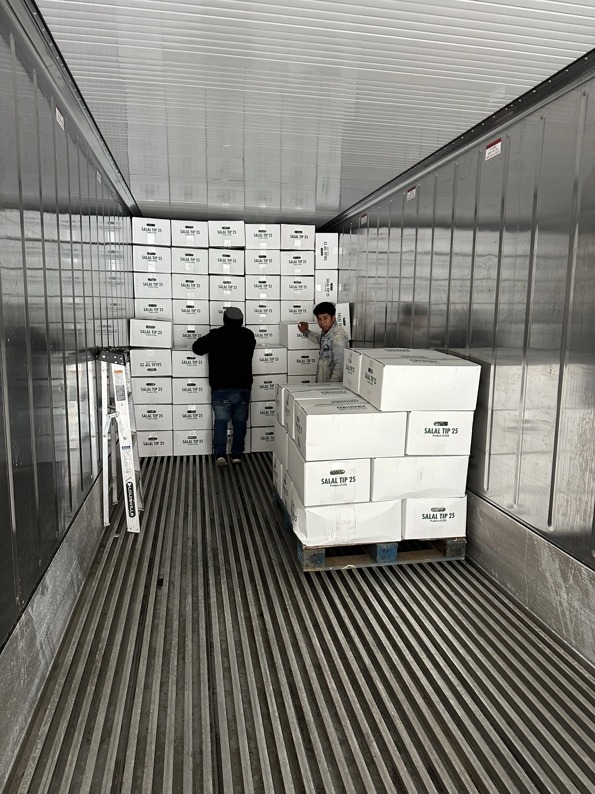 loading a truck with Salal Tips.